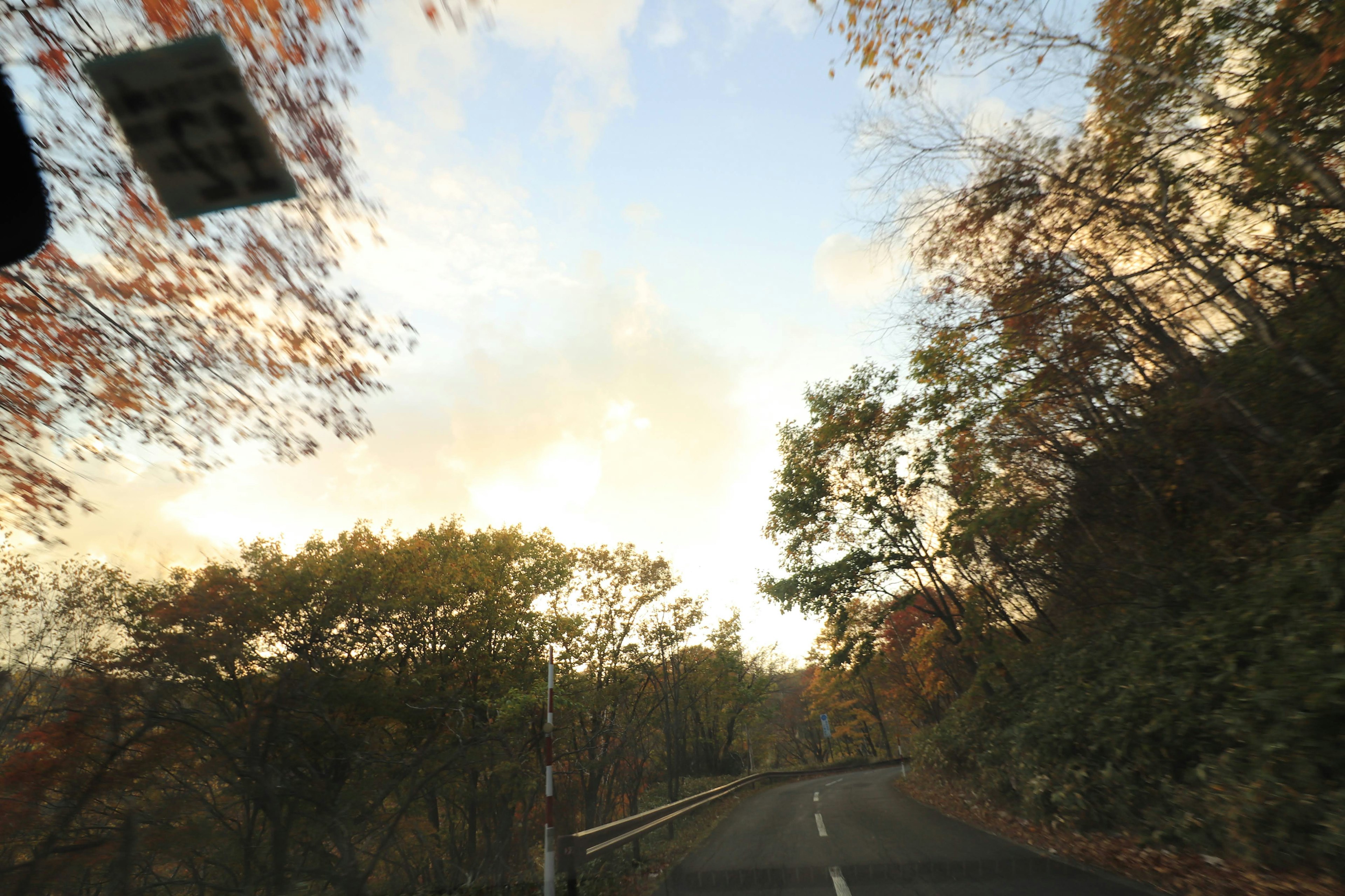 秋の風景の中を走る曲がりくねった道路と色づいた木々