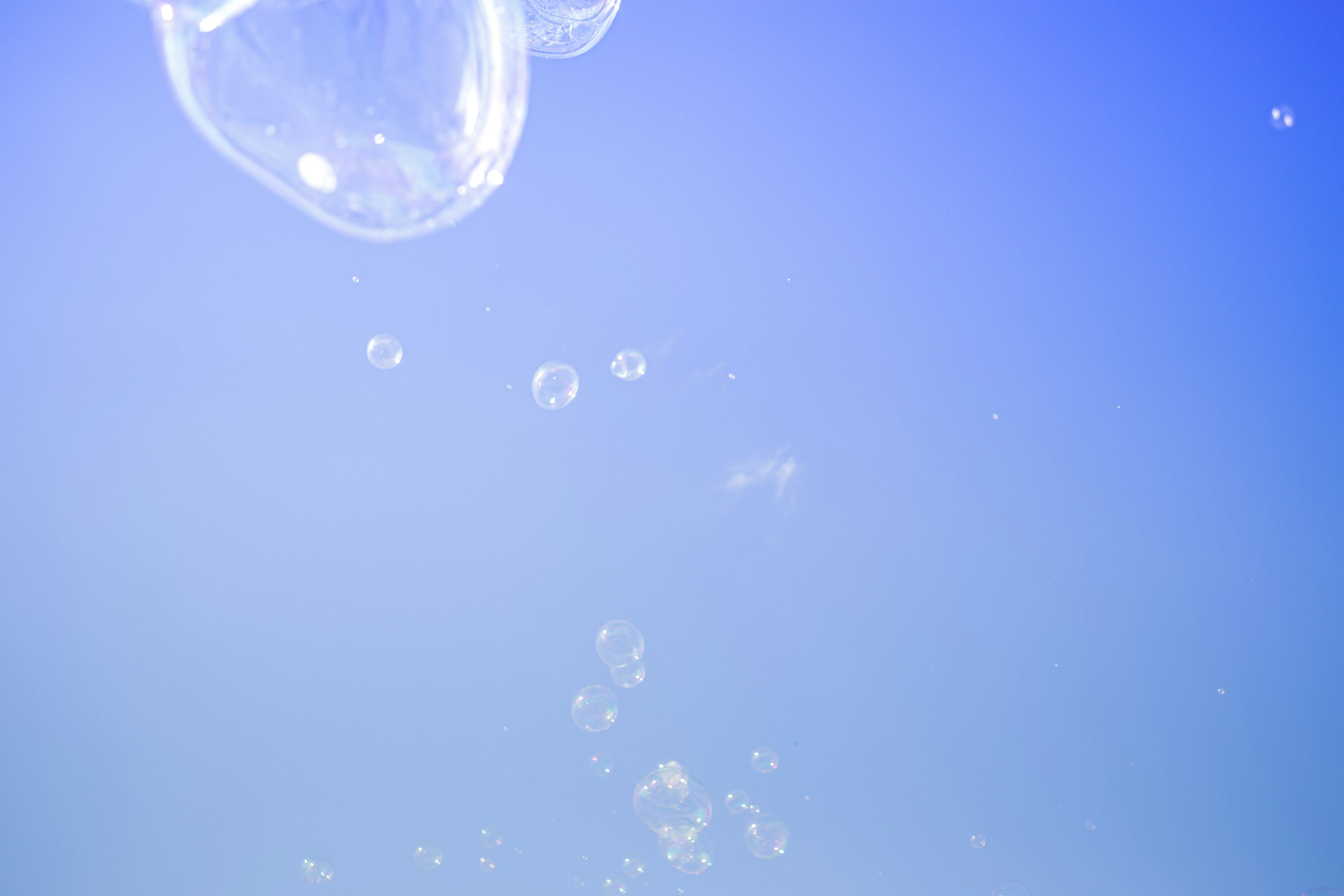 Transparent bubbles floating against a blue background