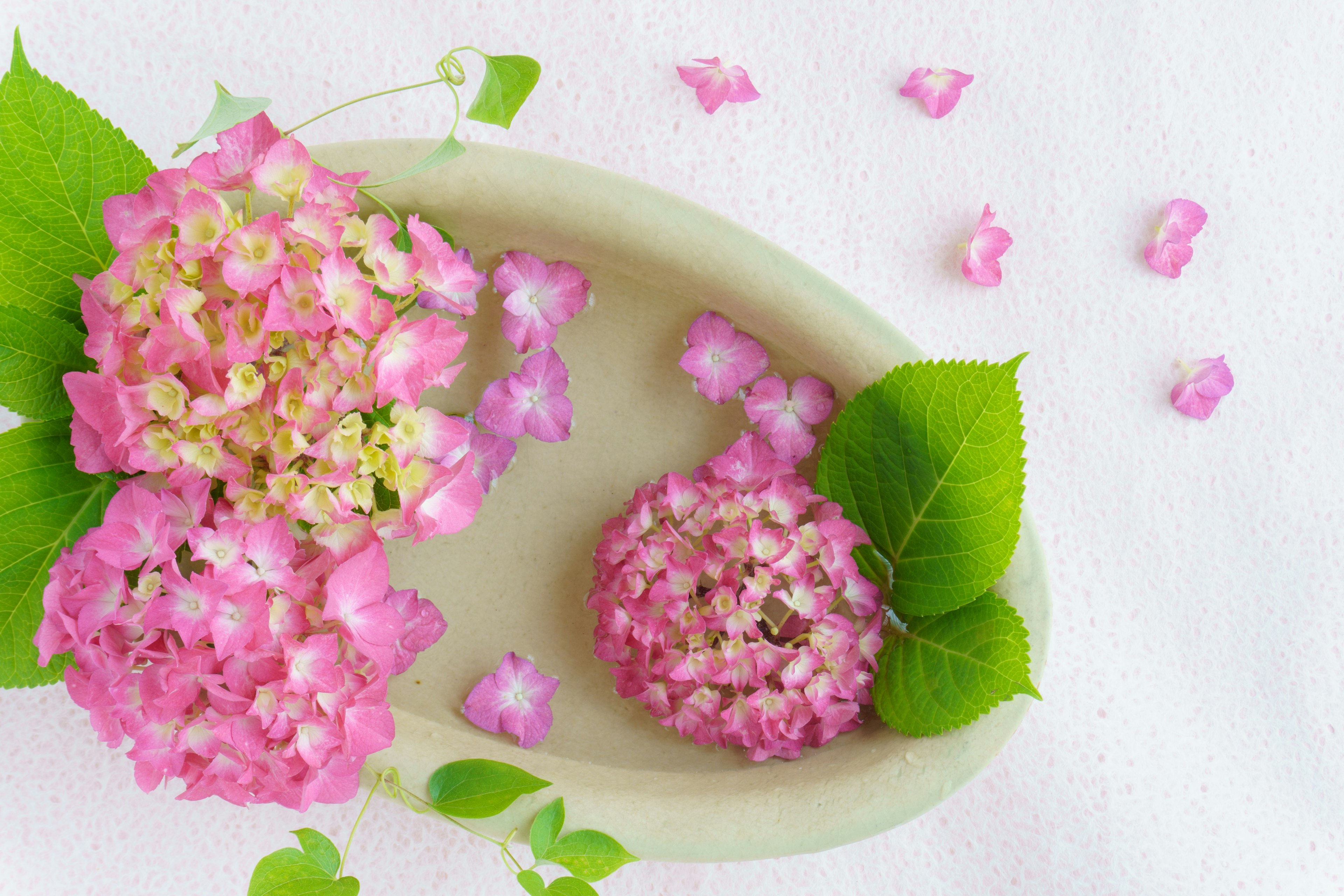 Flores de hortensia rosa y hojas verdes dispuestas en un plato decorativo