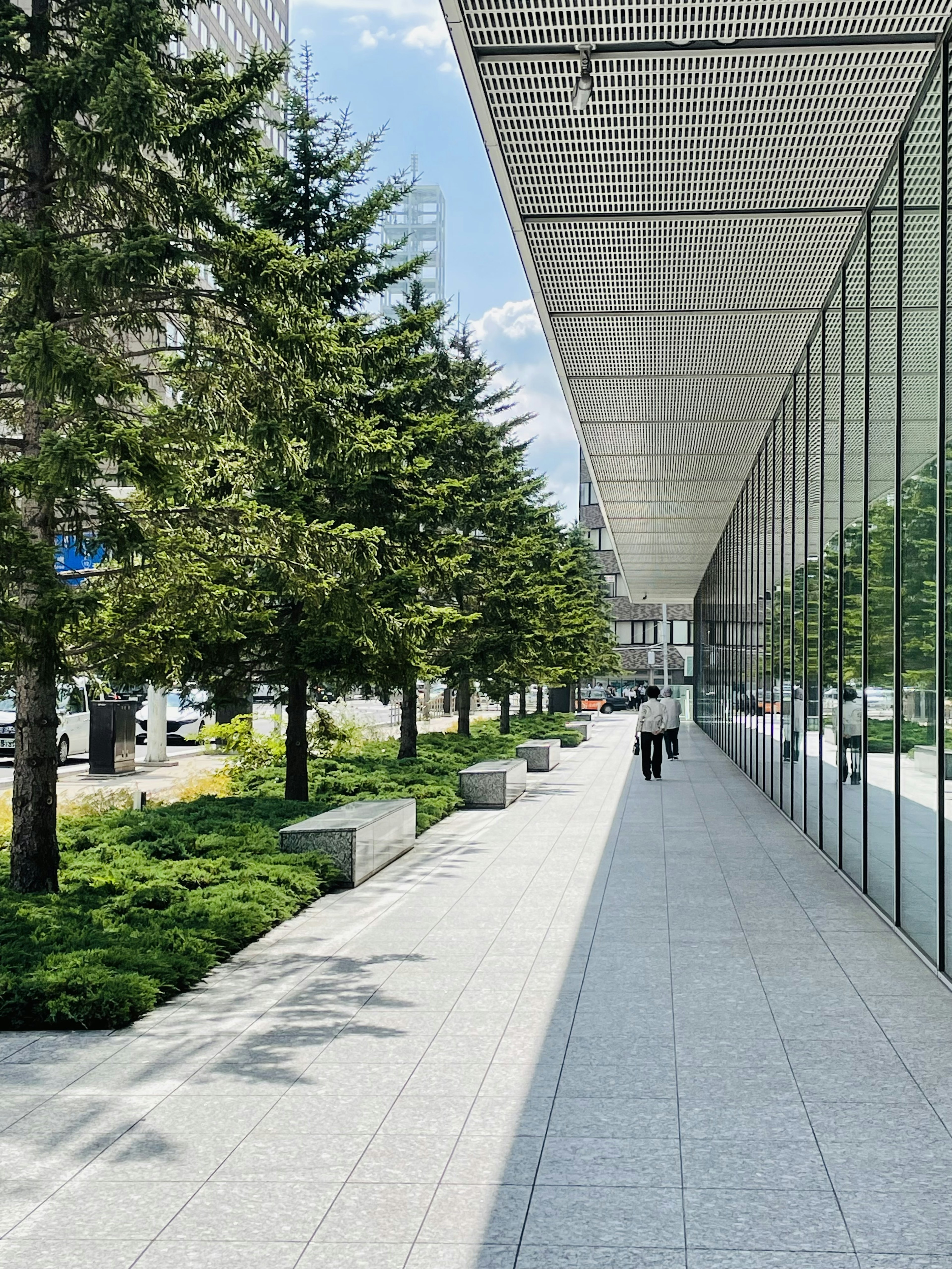 Modern building with lush greenery along the walkway