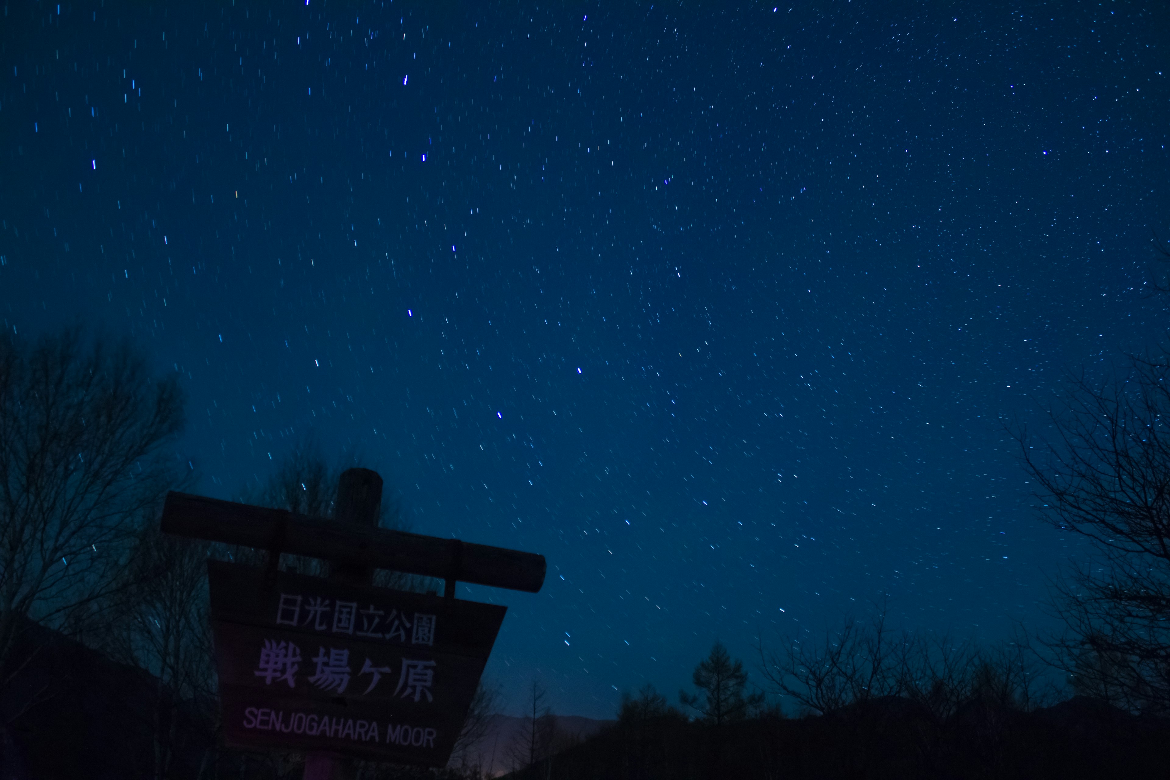 星空と看板がある夜の風景