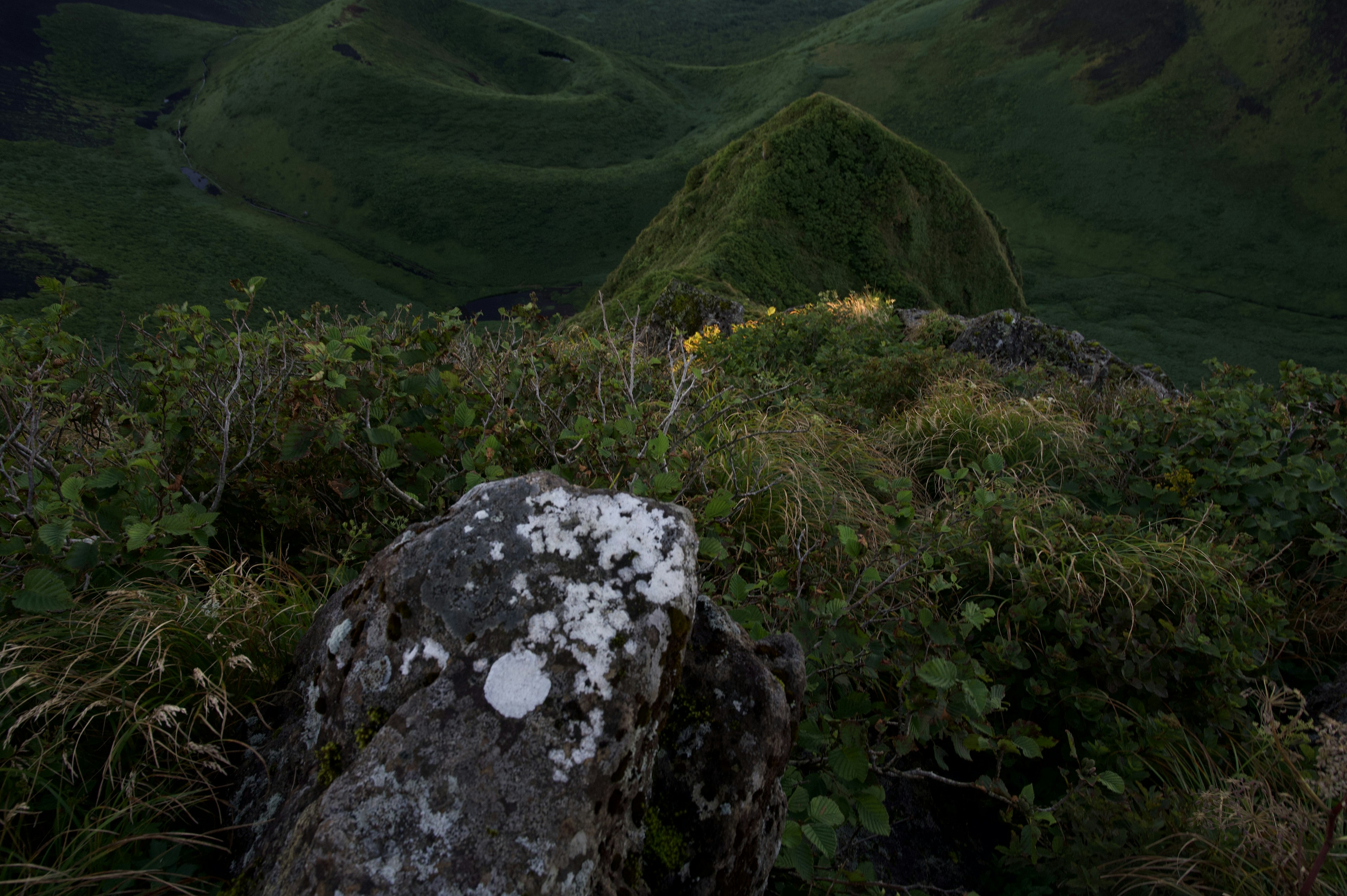 緑の山々と岩の風景 植物と草が生い茂る