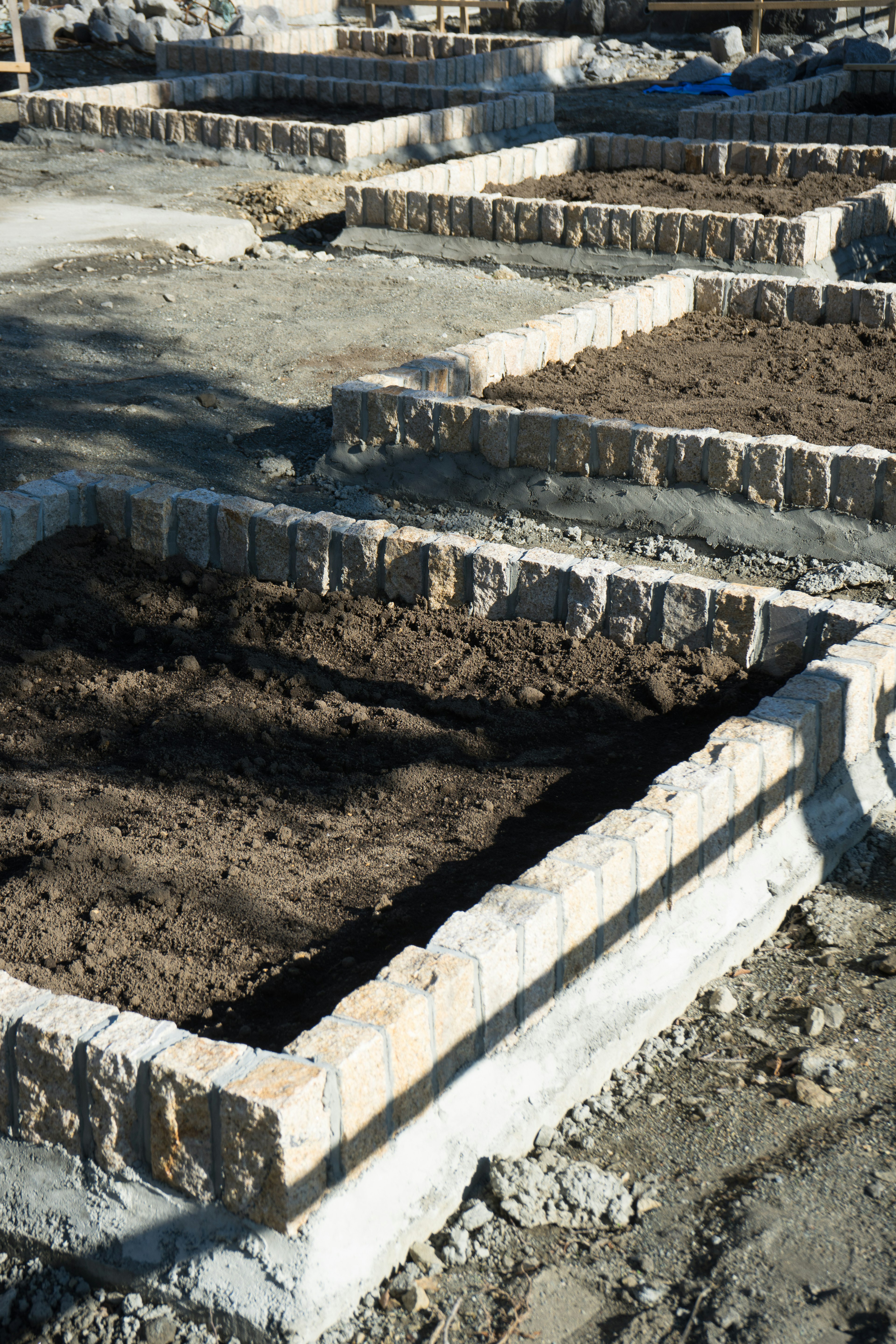 Garden plots with soil arranged in rectangular sections