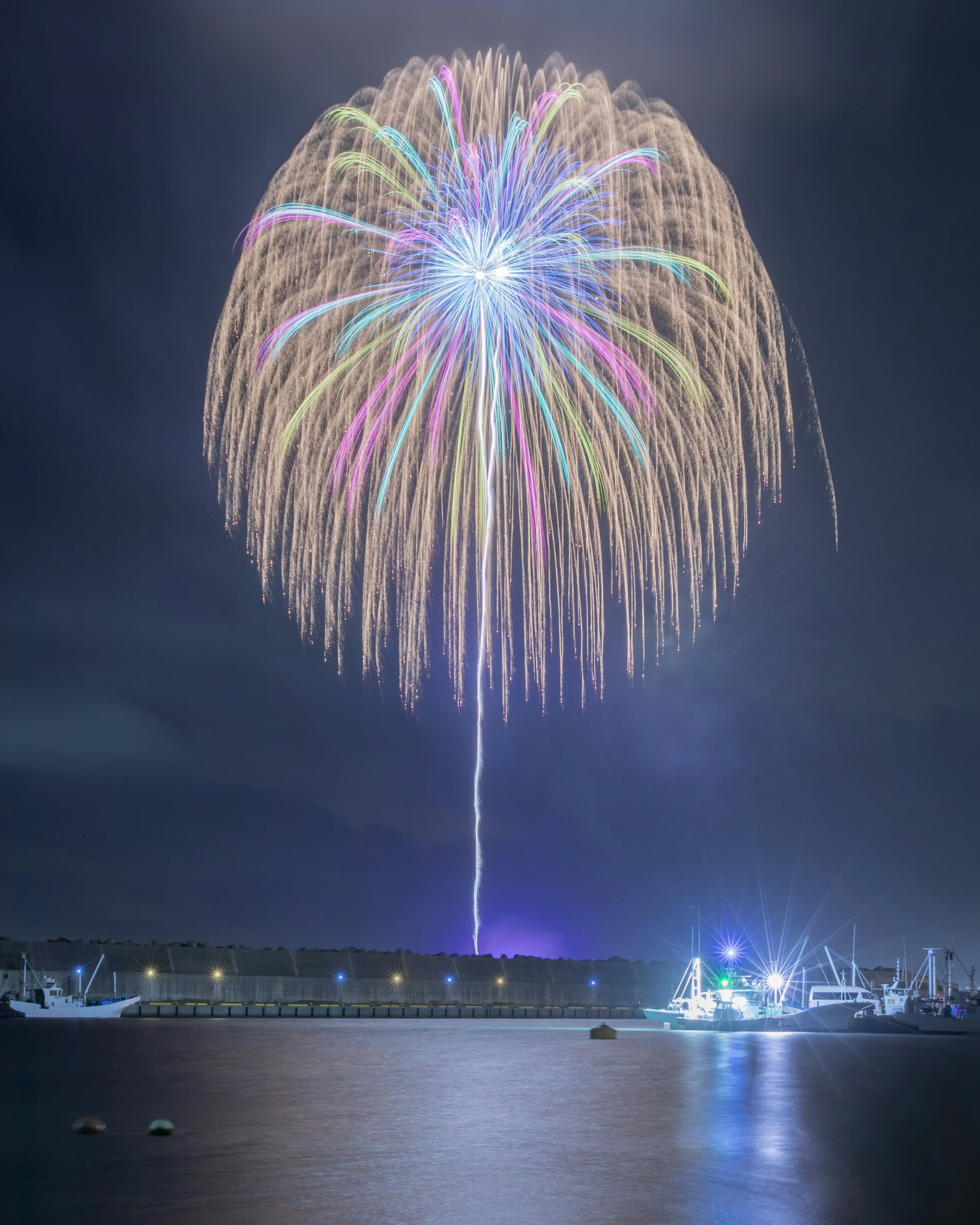 夜空に広がるカラフルな花火と海の景色