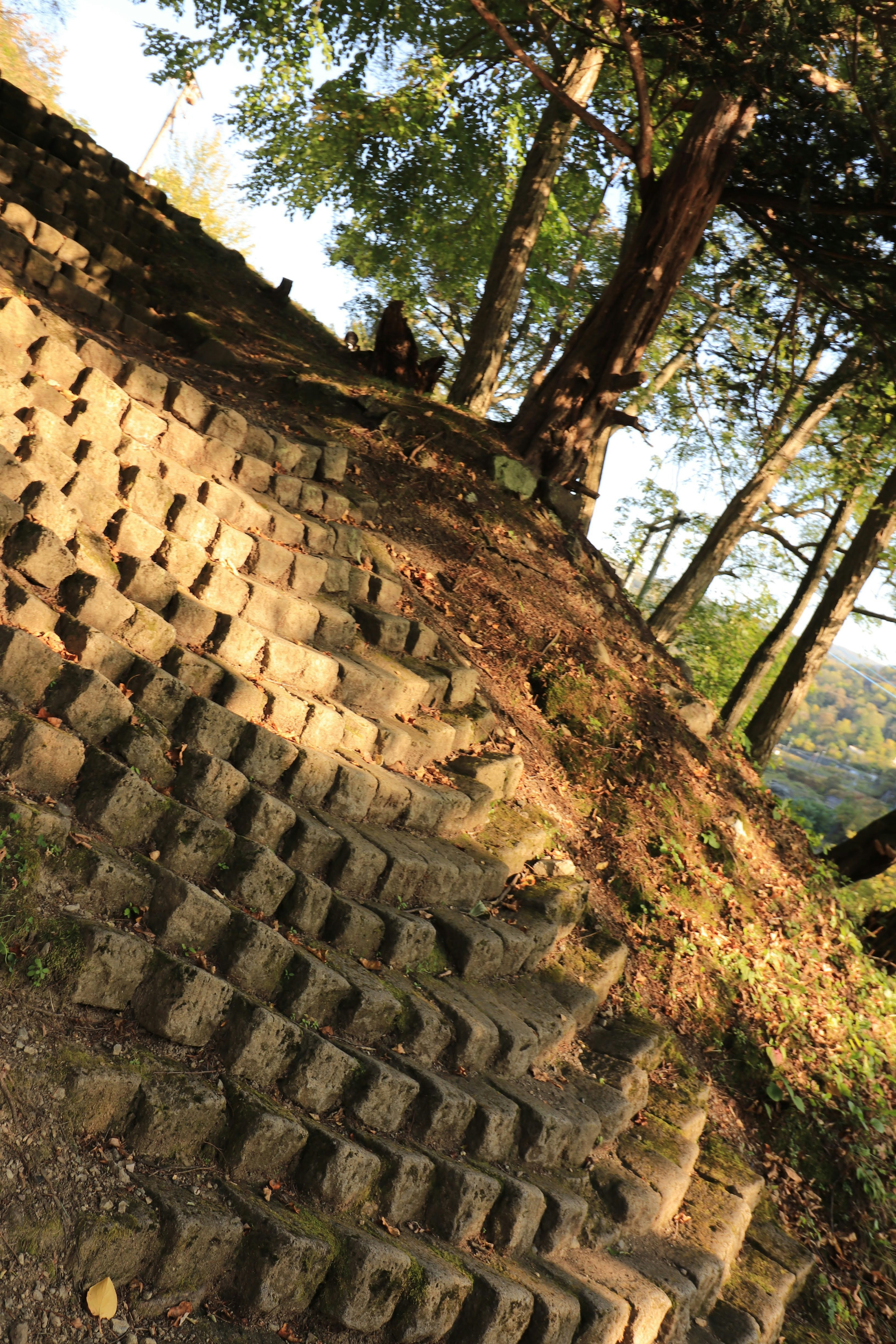 Escaleras de piedra en una pendiente rodeadas de árboles verdes