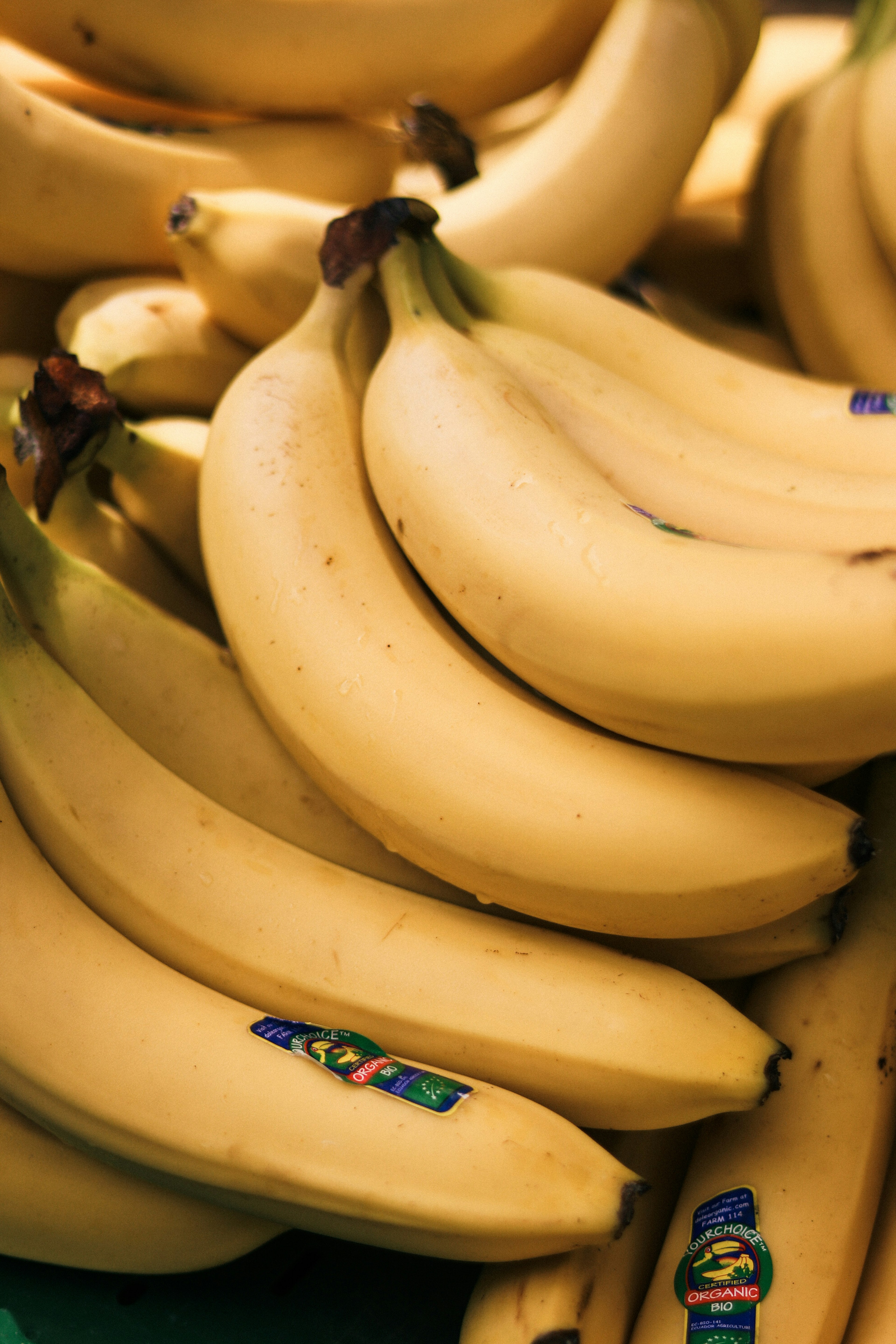 Sekumpulan pisang kuning yang ditumpuk