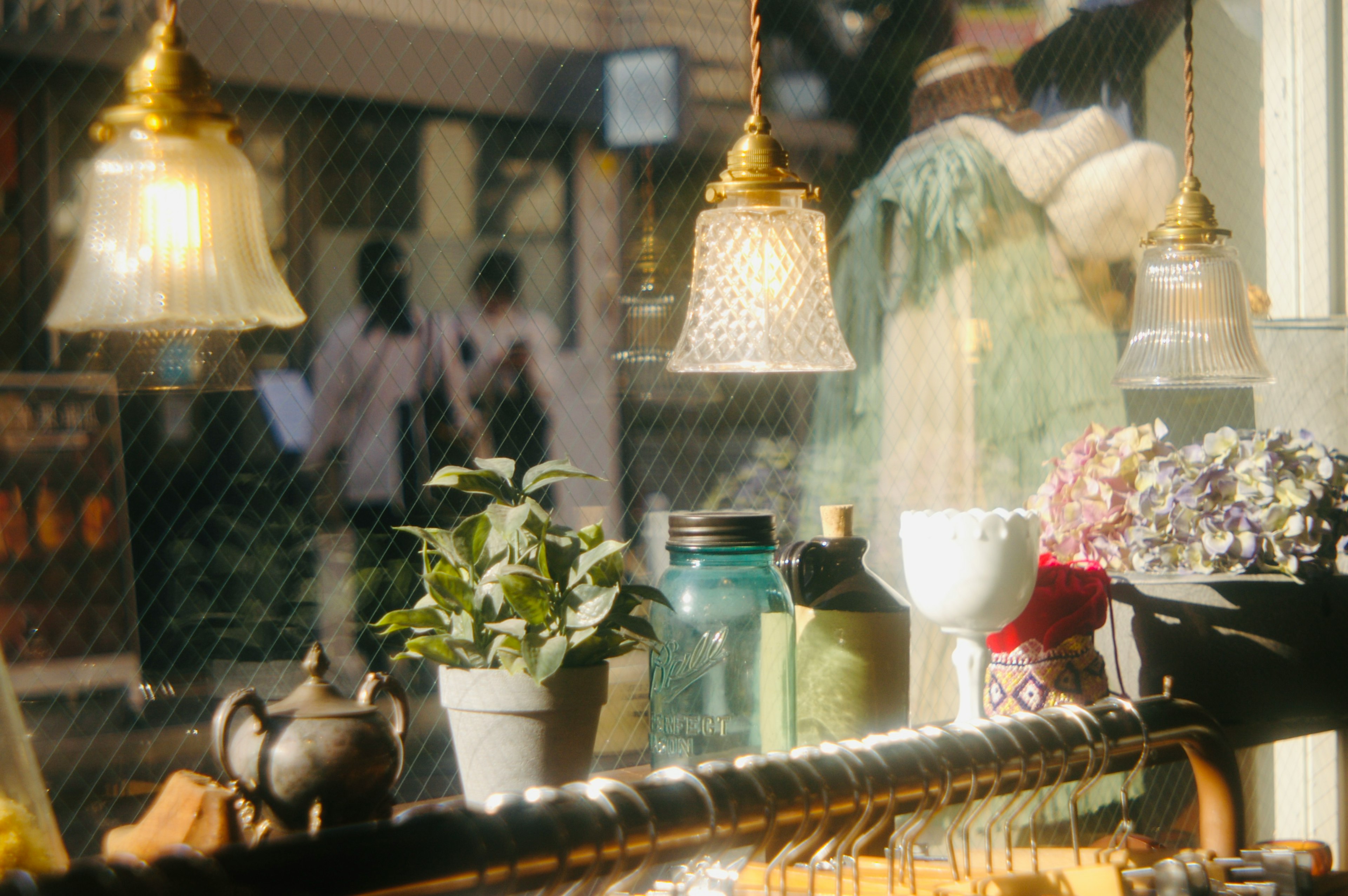 Une vue de plantes et d'objets colorés dans une vitrine