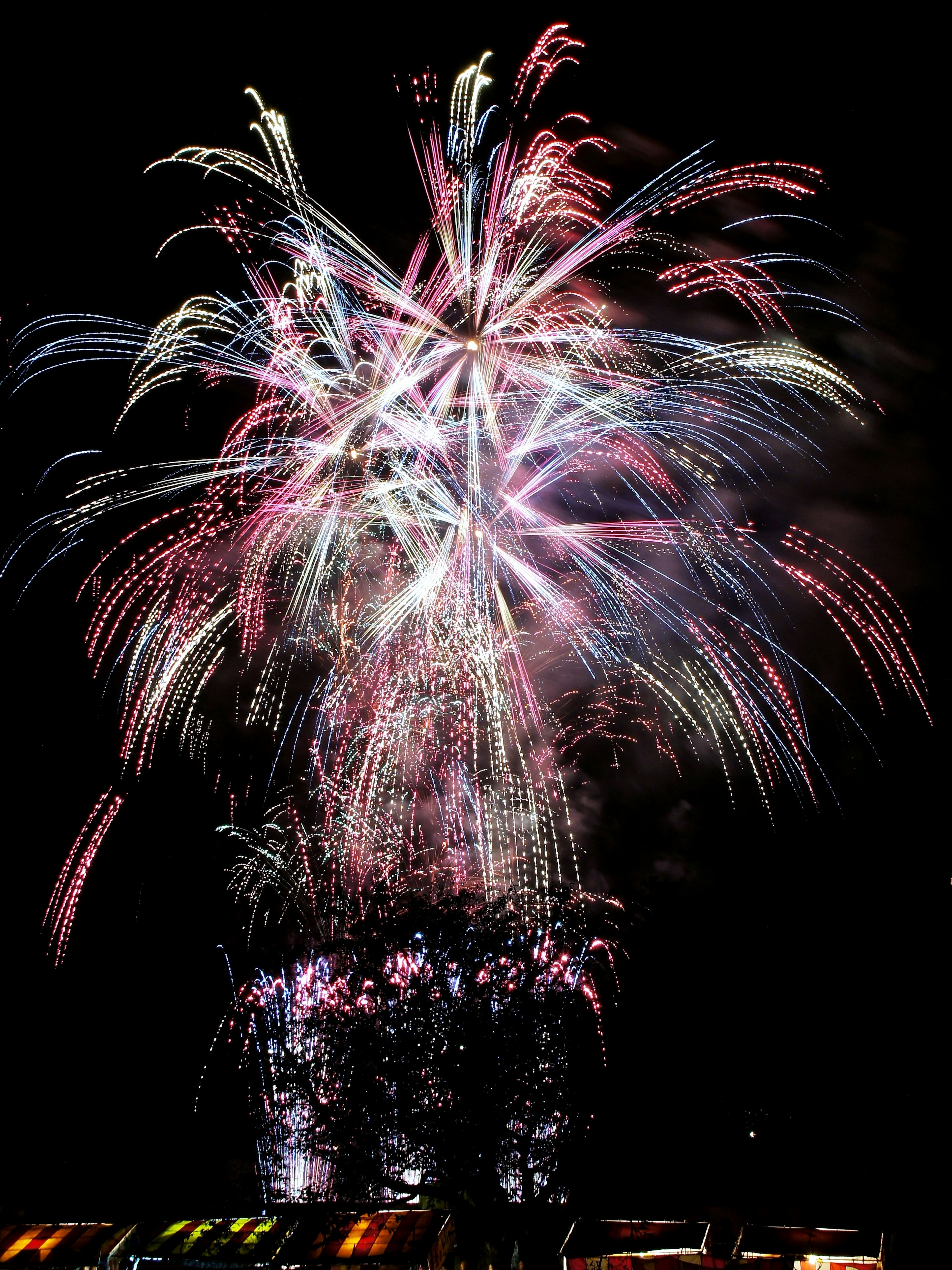 Fuochi d'artificio colorati che esplodono magnificamente contro un cielo notturno