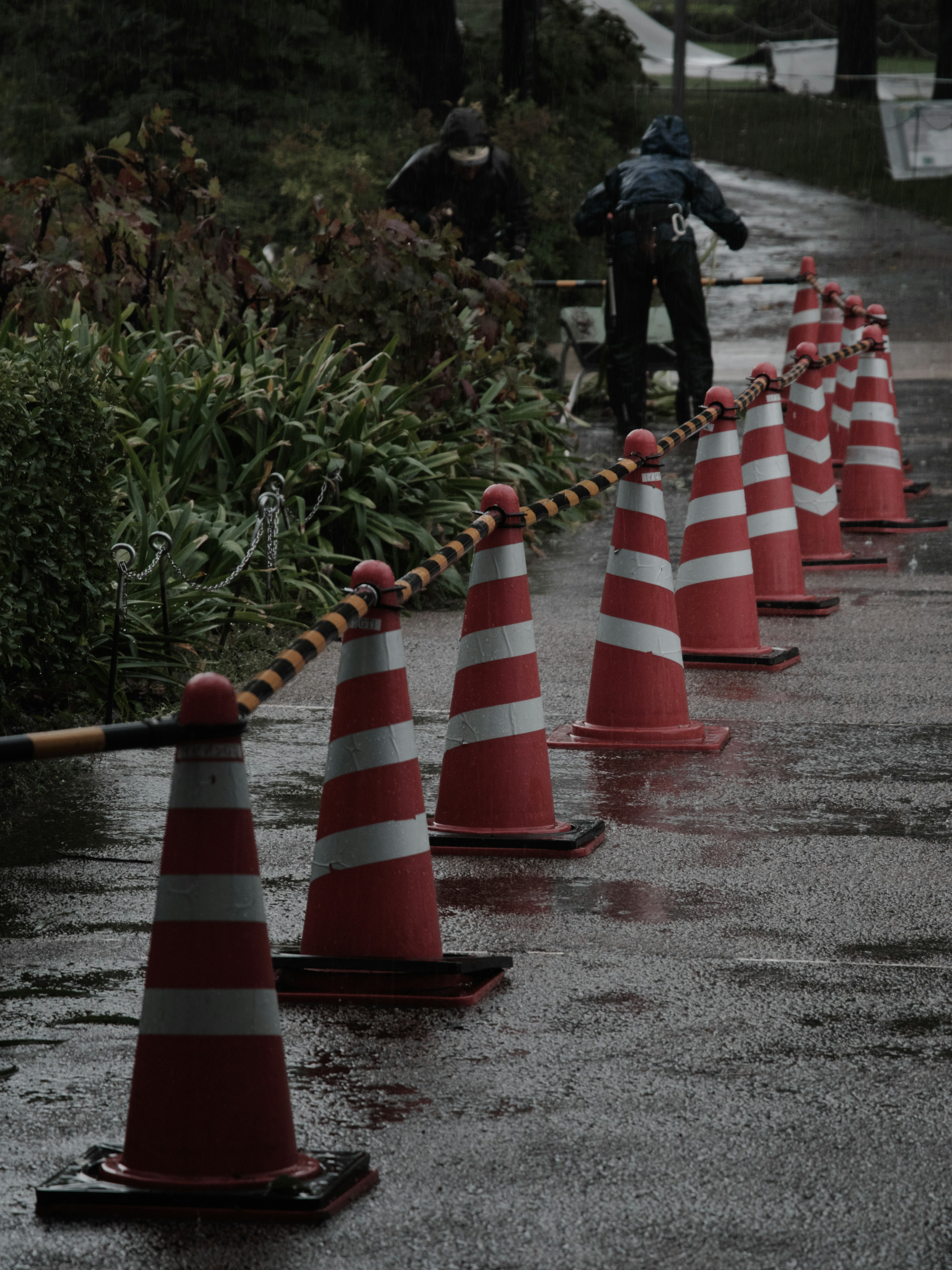 Orange and white traffic cones lined up on a wet road with a person working in the background