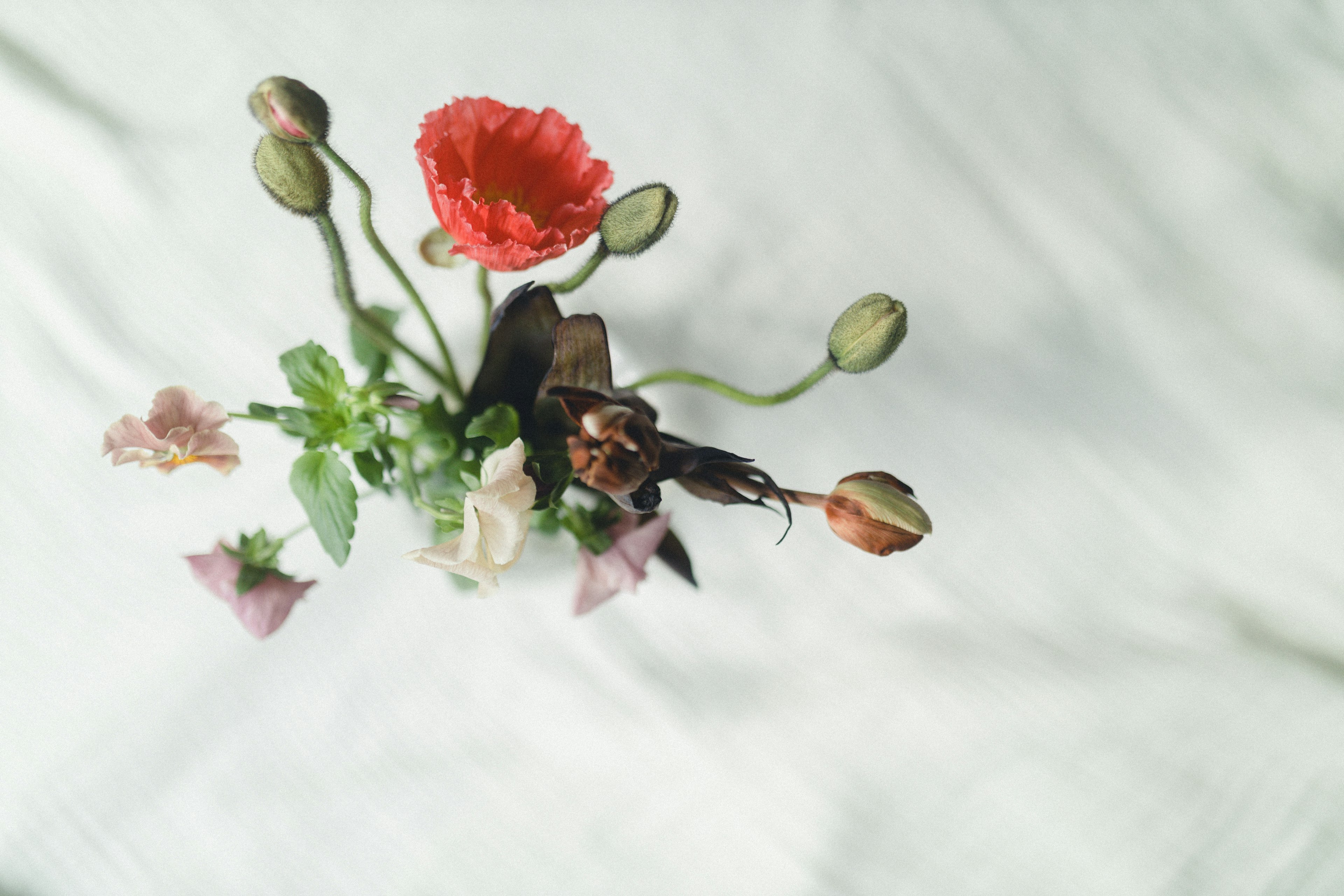 Overhead view of a vase with a colorful arrangement of flowers on a white cloth