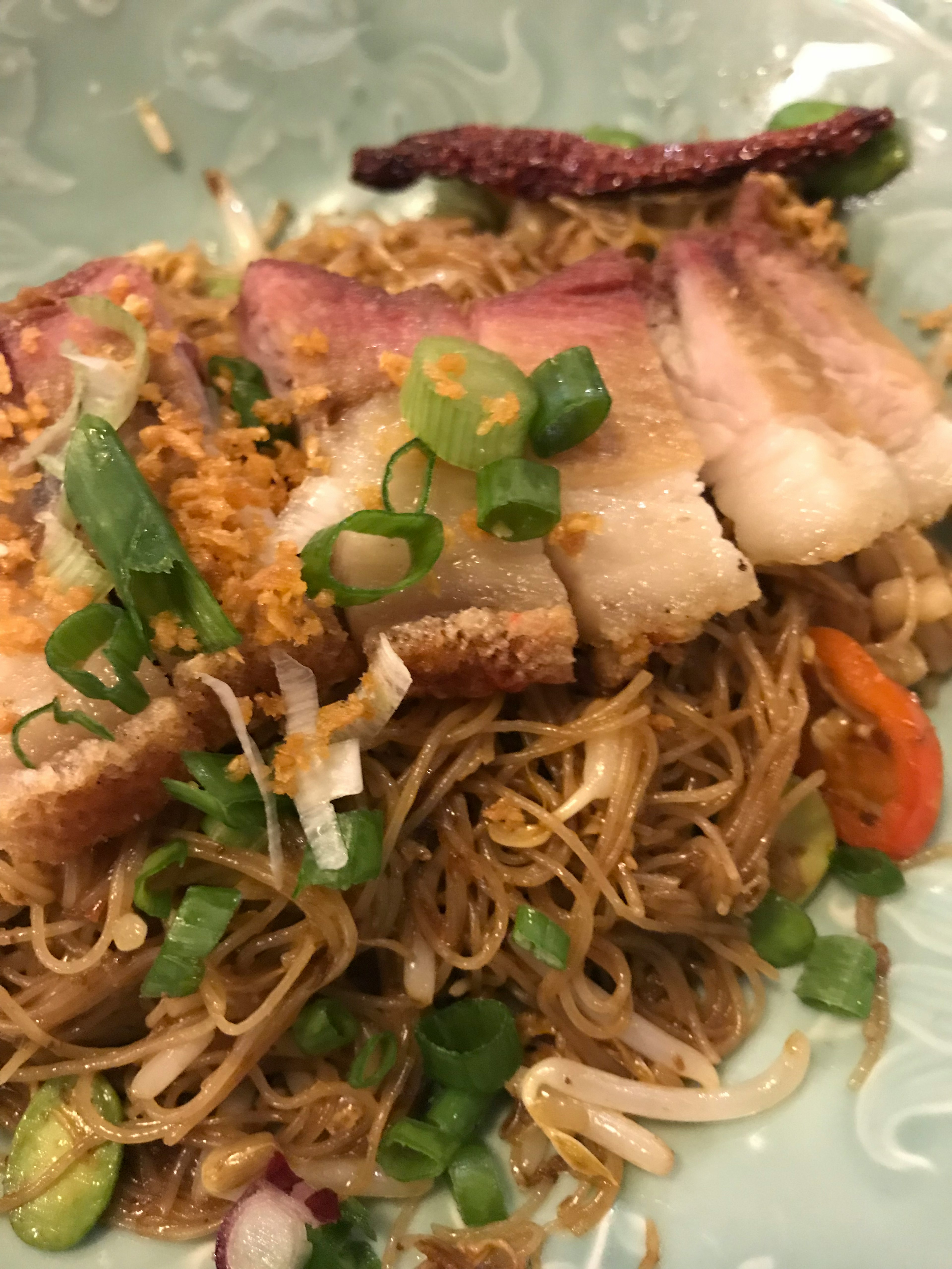 Plate of stir-fried noodles topped with roasted pork and green onions