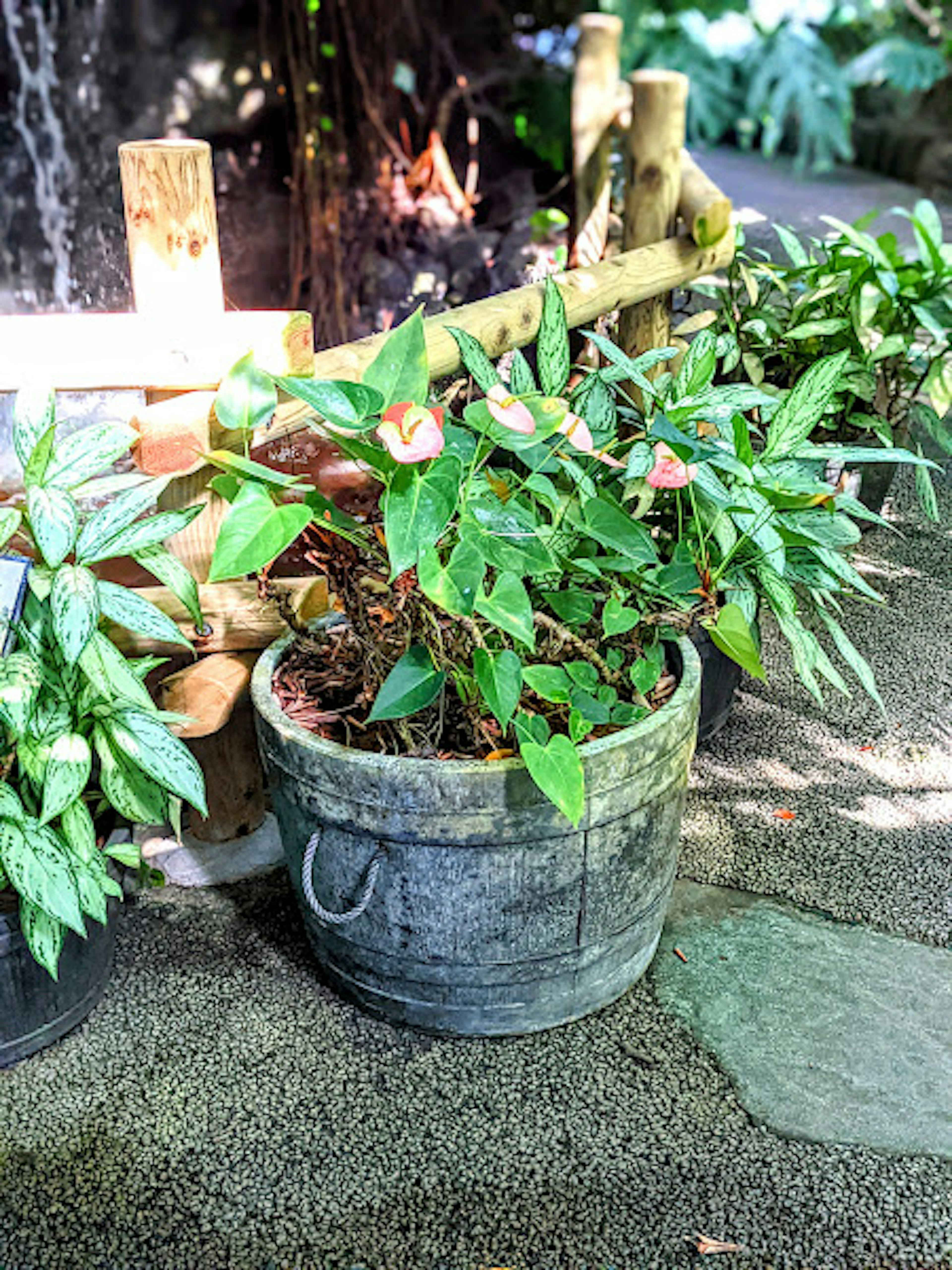 小さな緑の植物が鉢に植えられた風景で周囲には他の植物や木の装飾が見える