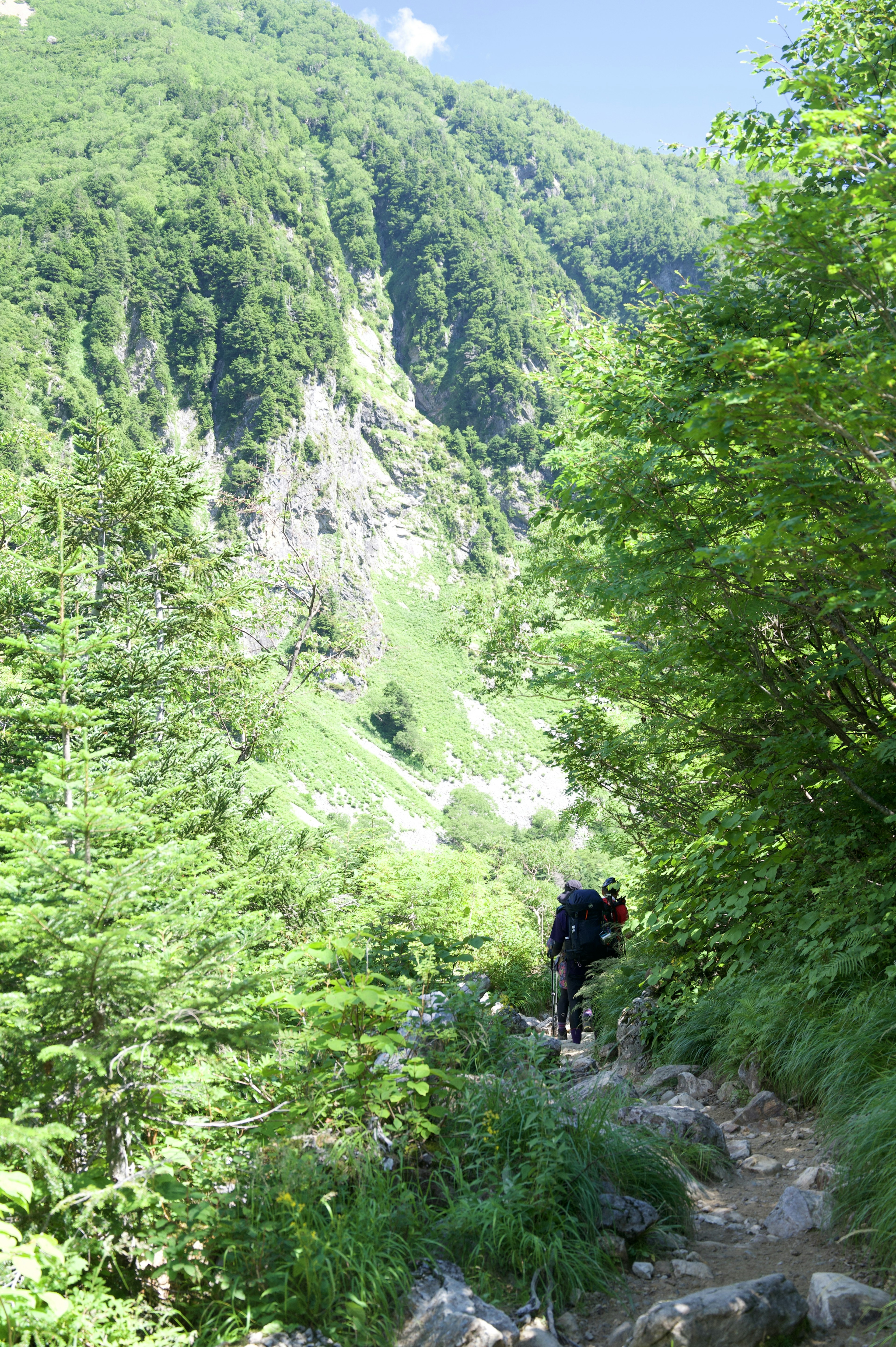 Un escursionista che sale lungo un sentiero montano verdeggiante