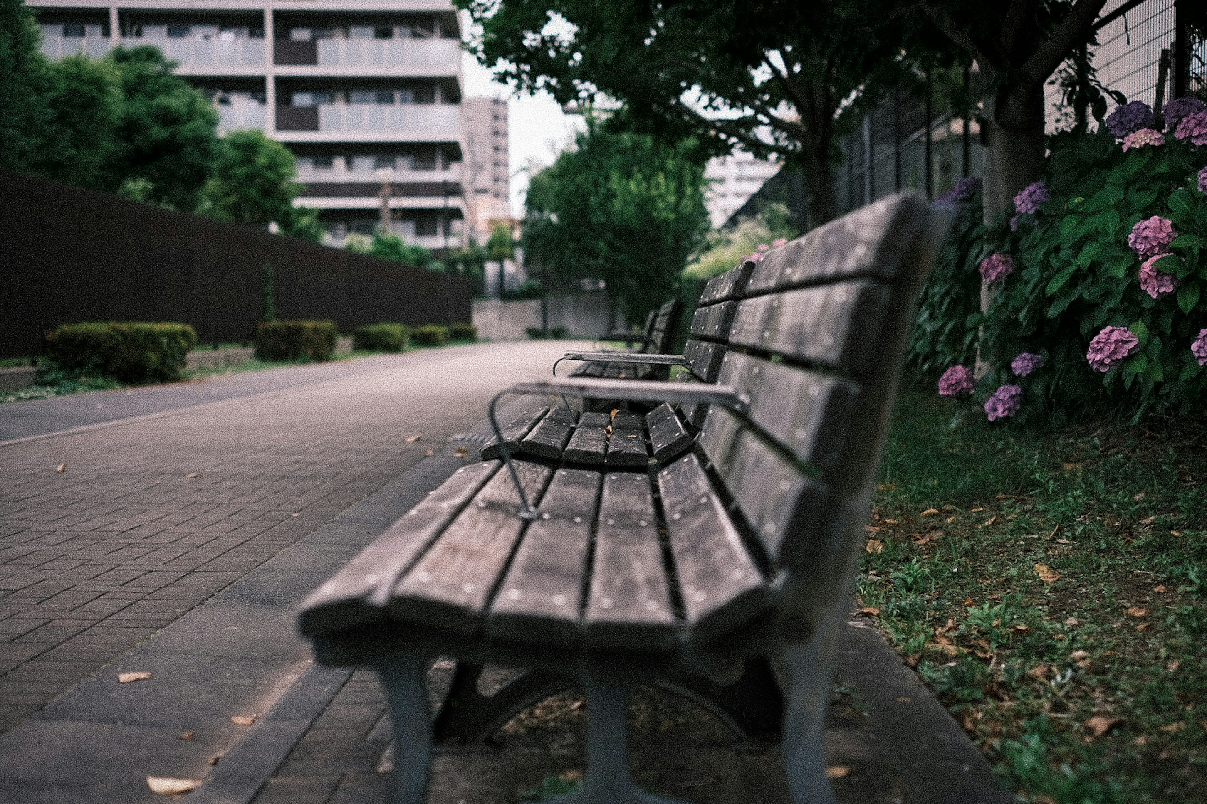 公園のベンチと花のある風景の写真