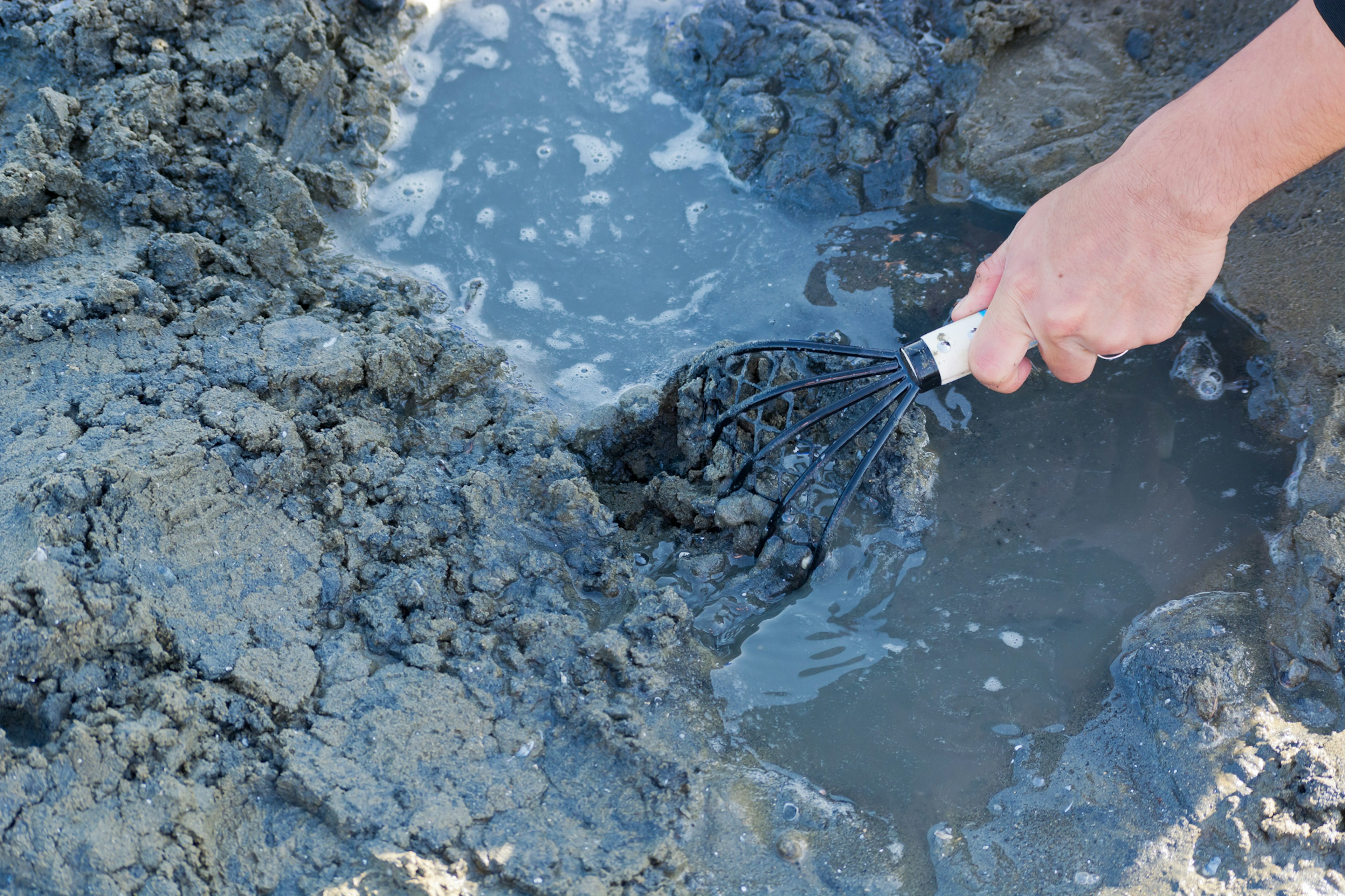 Une main creusant dans de l'eau boueuse