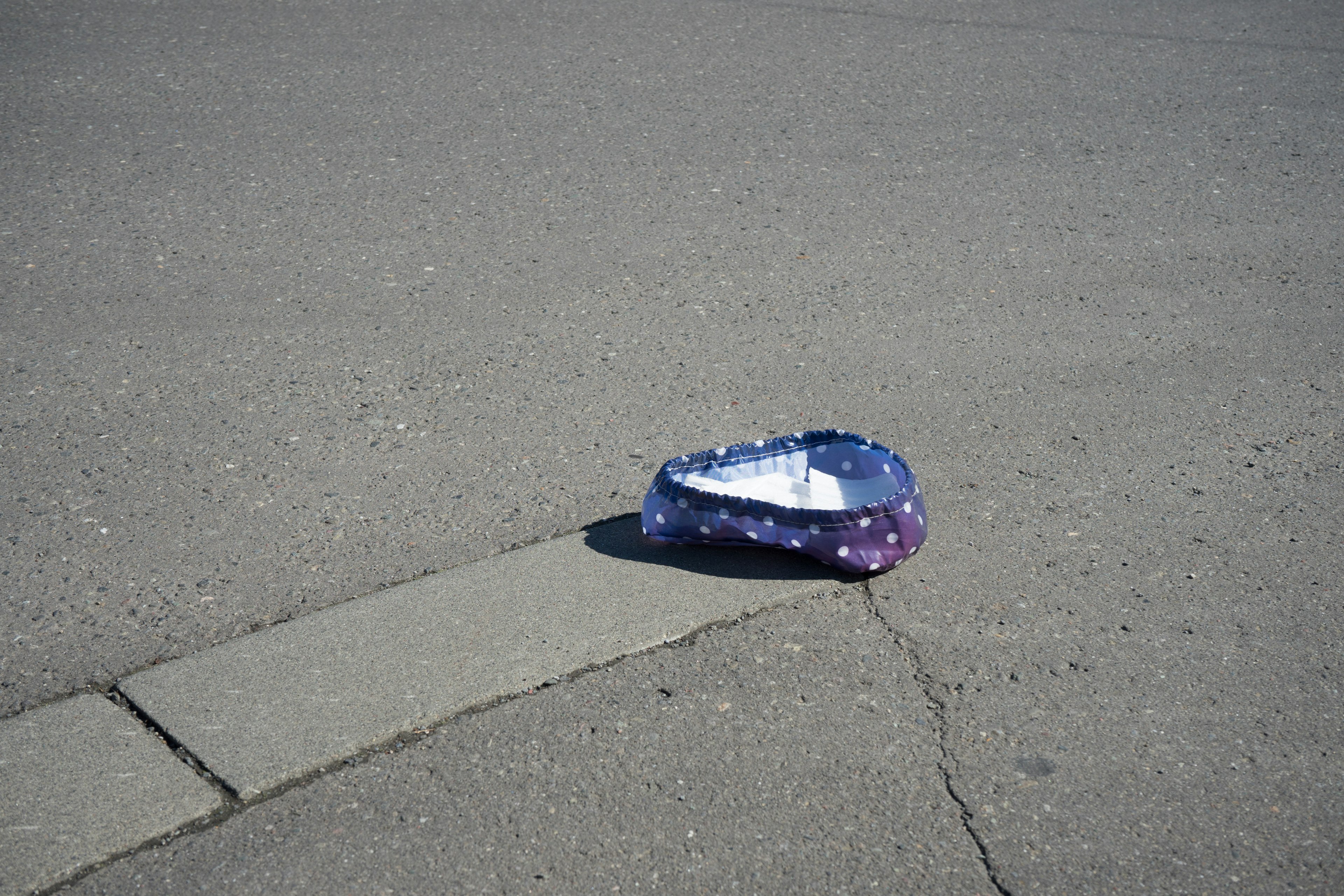 A purple polka dot pet bed lying on the road