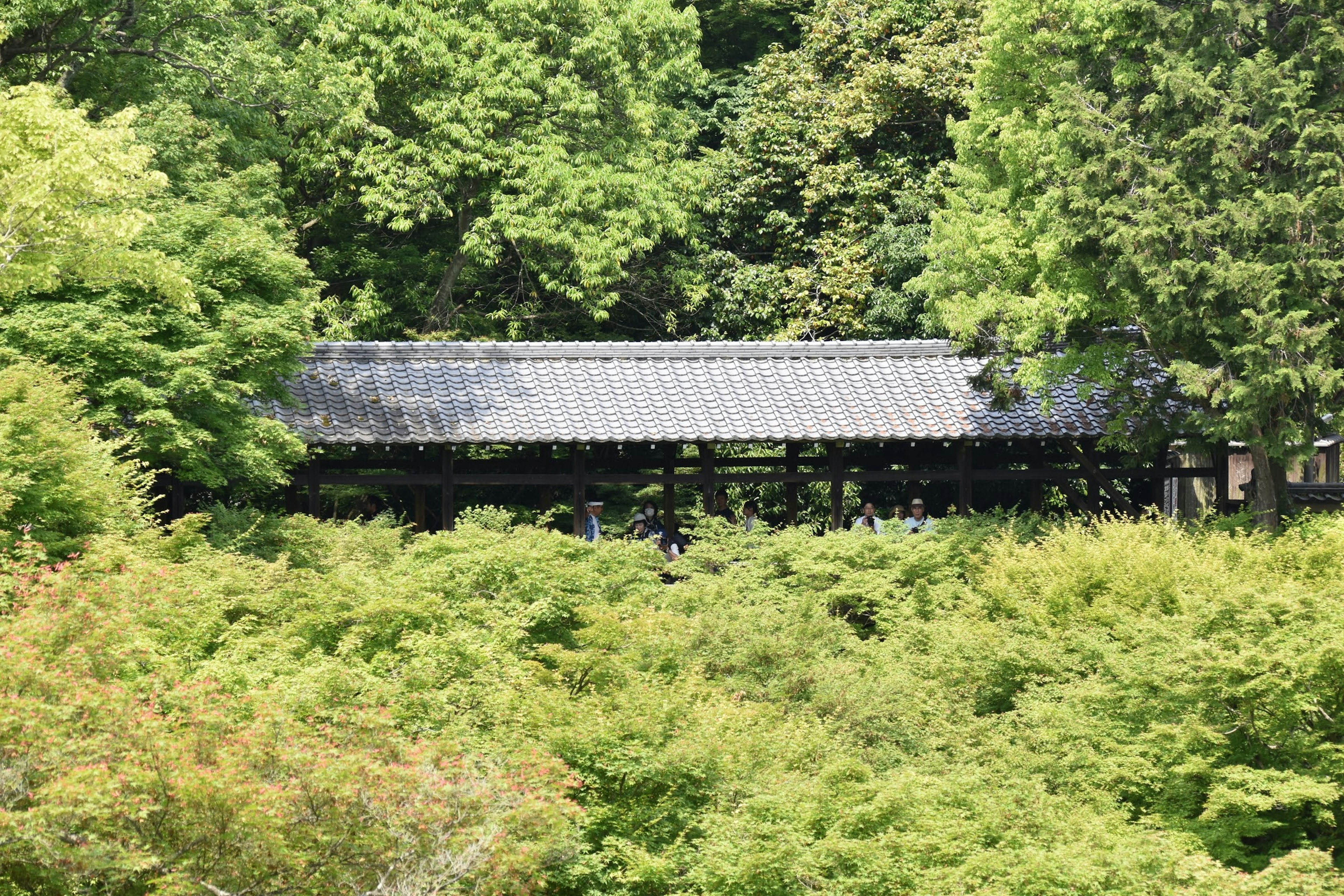 緑豊かな木々に囲まれた屋根のある建物