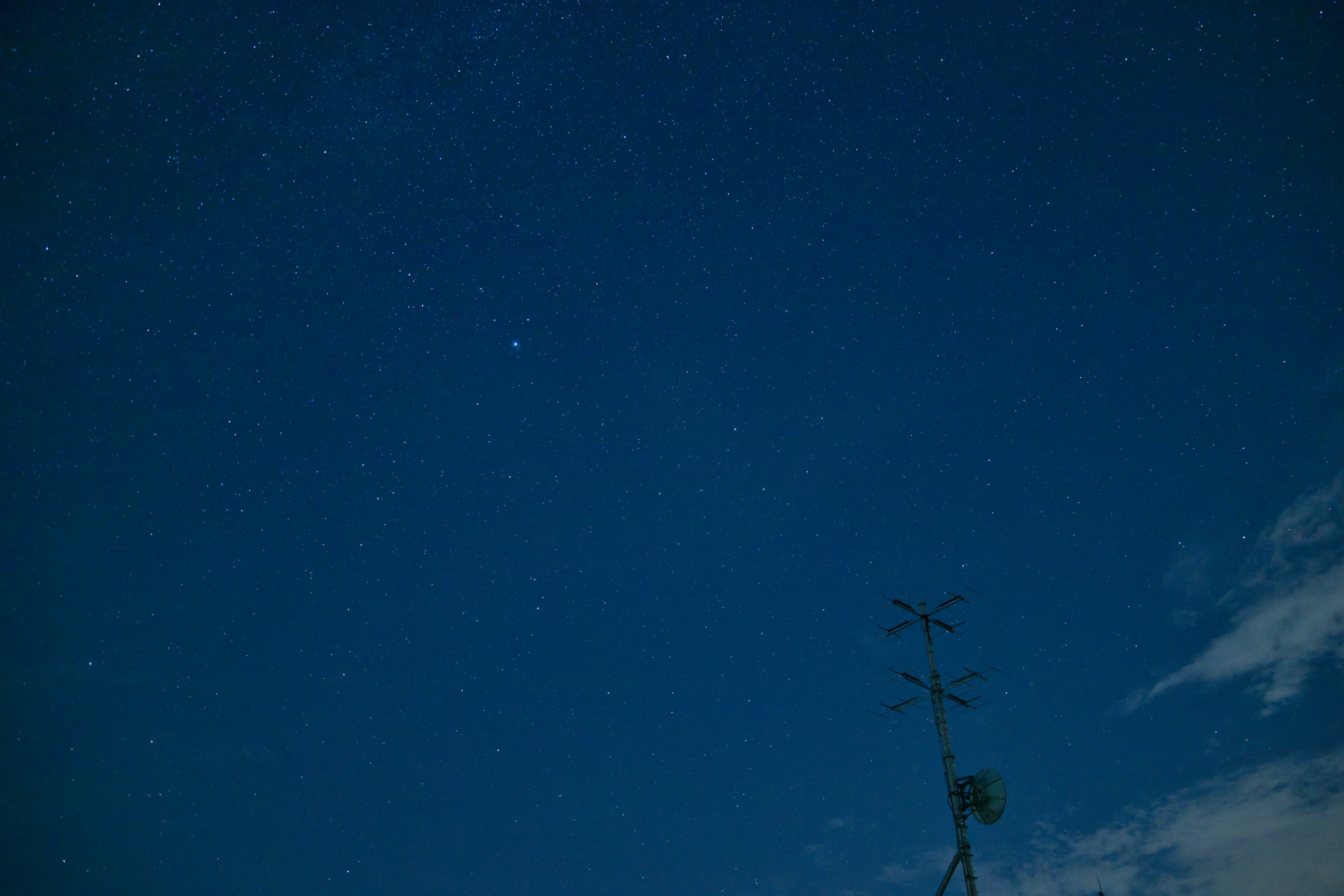 Cielo notturno pieno di stelle e silhouette di un albero