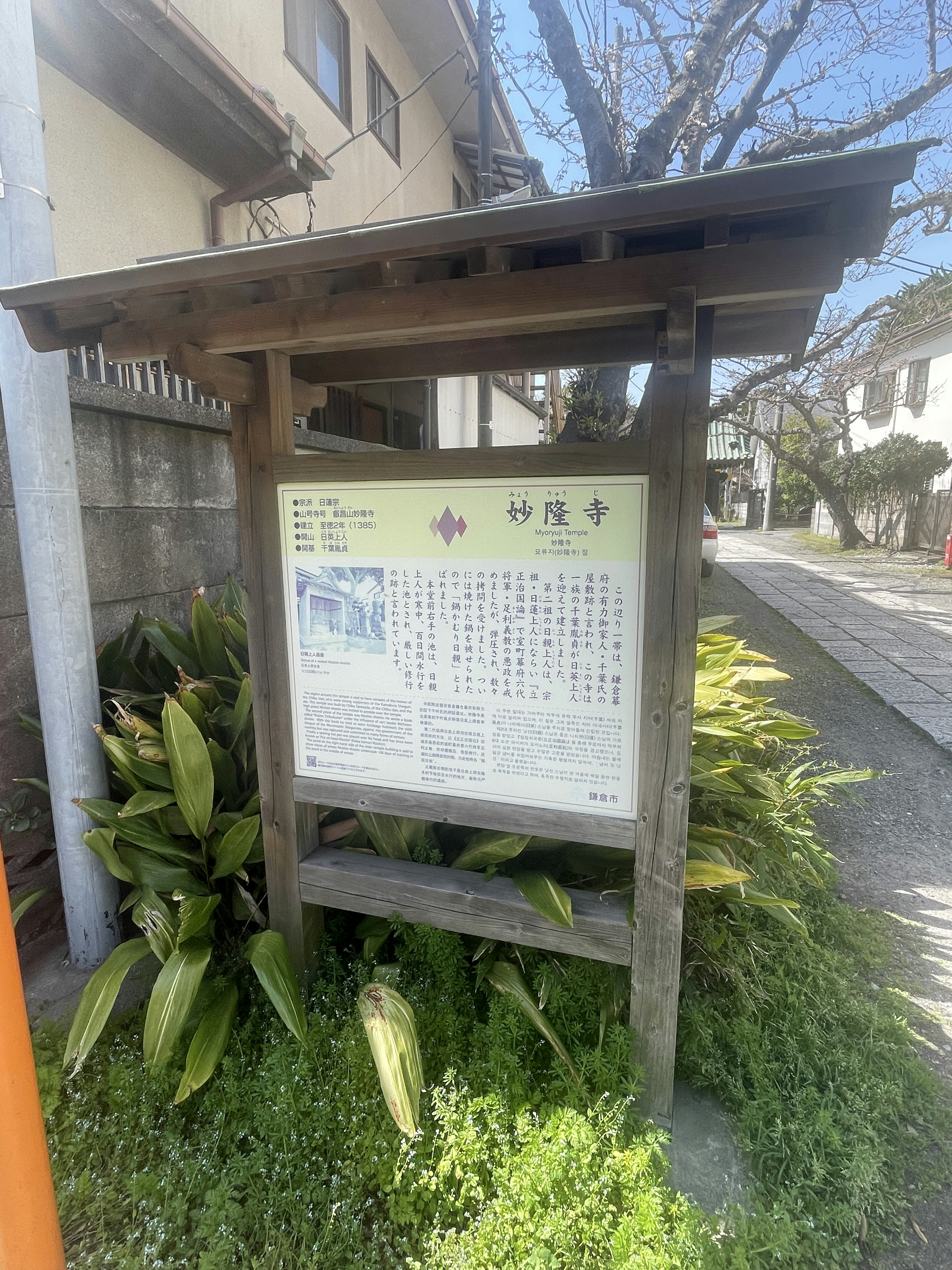 Wooden information board with details and surrounding green plants