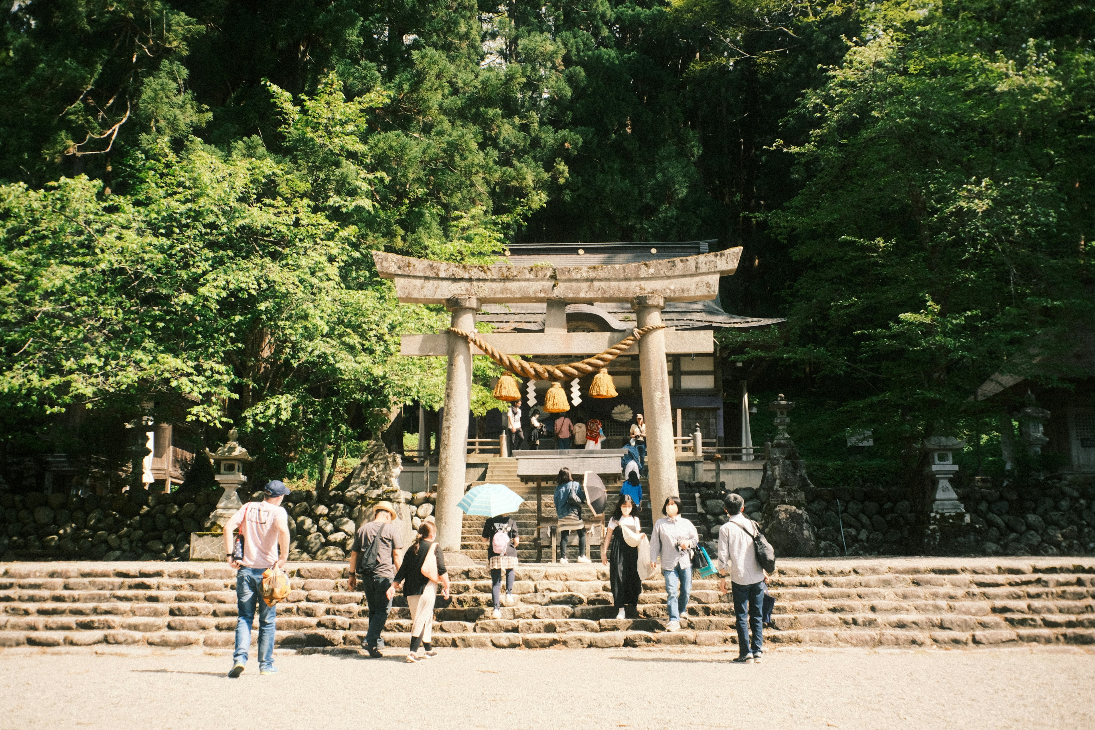 Menschen besuchen einen Schrein durch ein Torii