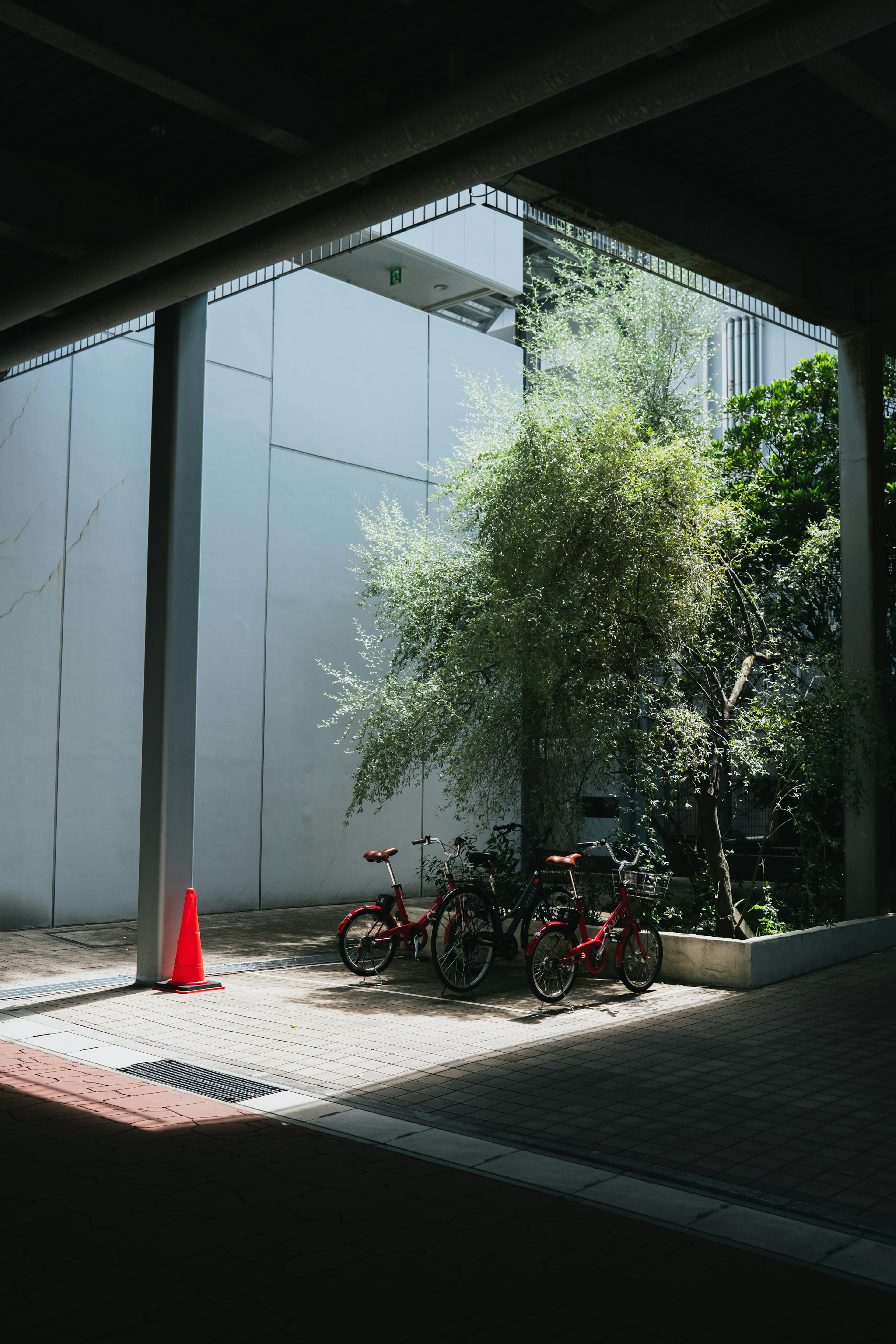 自転車が停まっている陰のある場所に赤いコーンと緑の植物が見える