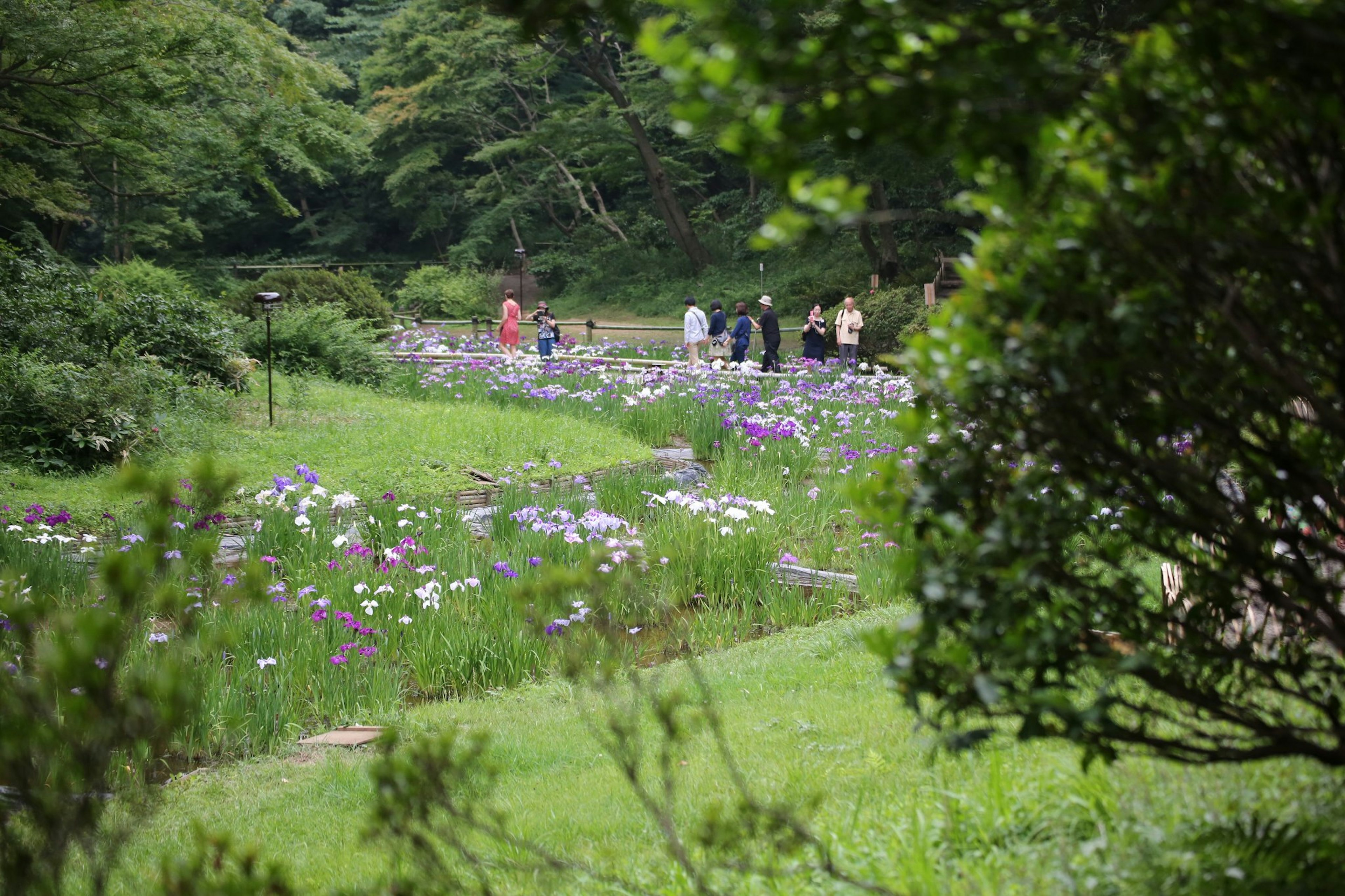 Personas disfrutando de flores en un parque verde