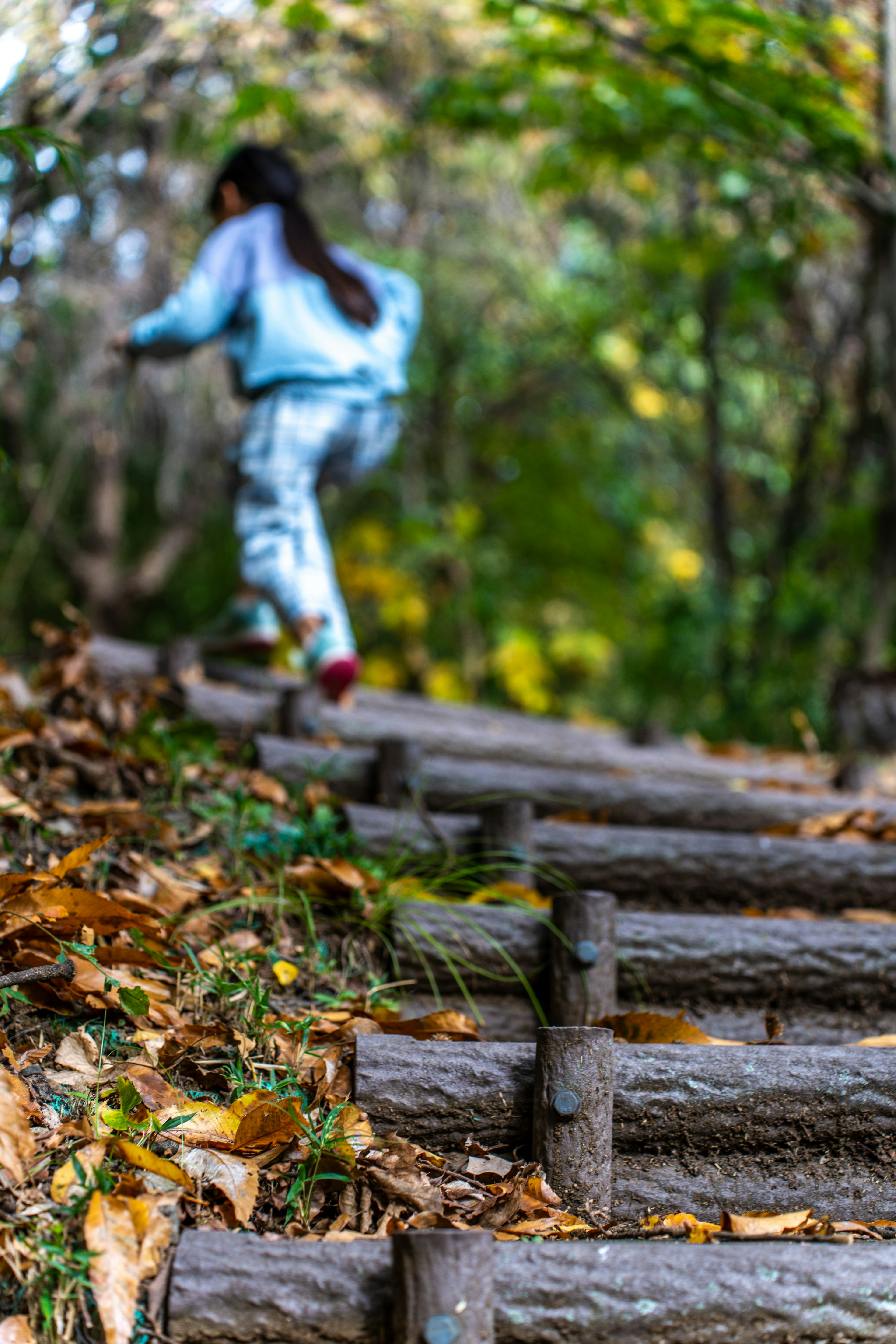 Bambino che sale gradini di legno con vegetazione sullo sfondo