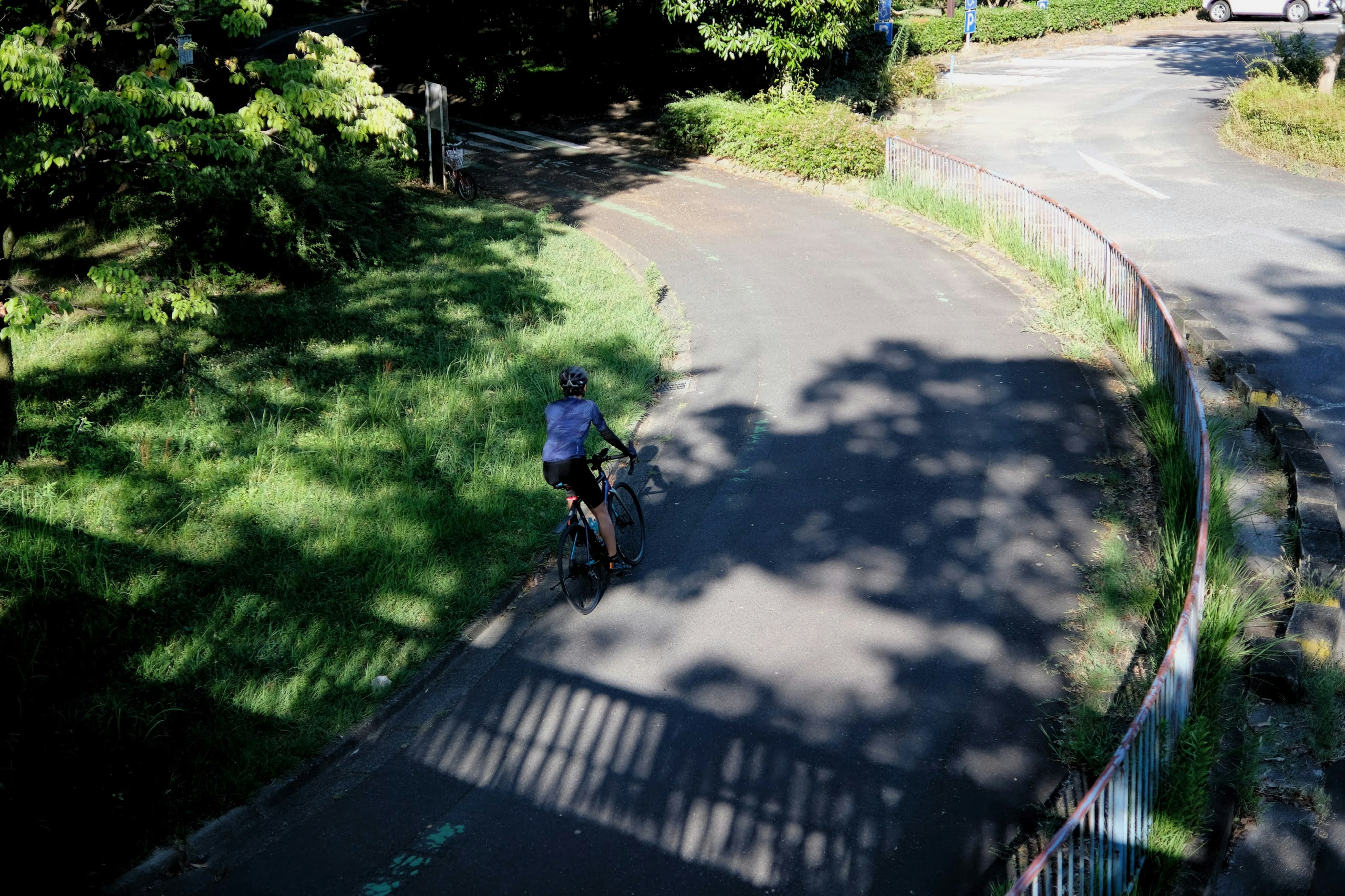 Cycliste roulant sur un chemin de vélo sinueux entouré d'arbres verts