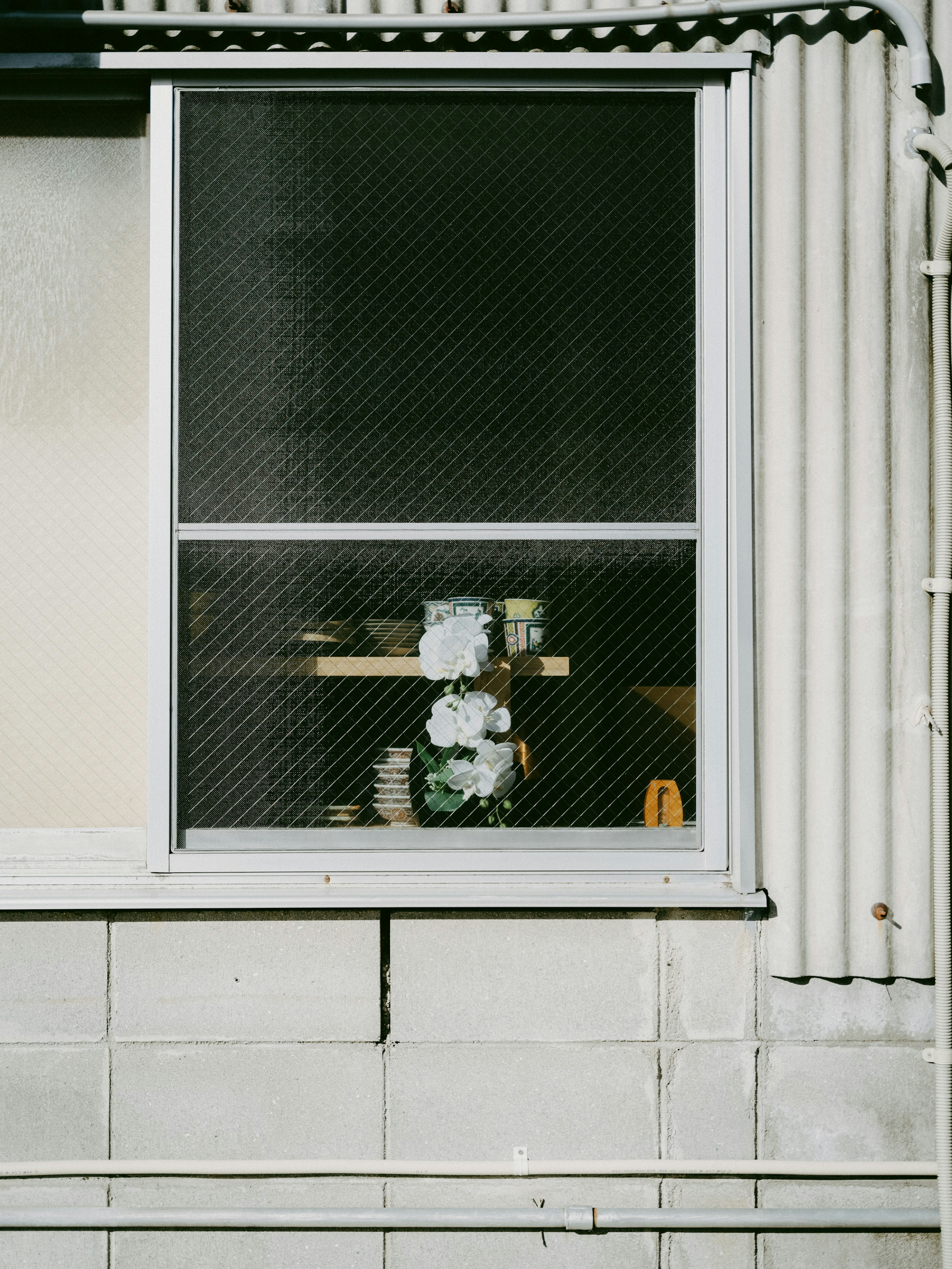 A simple view featuring plants and objects displayed inside a window