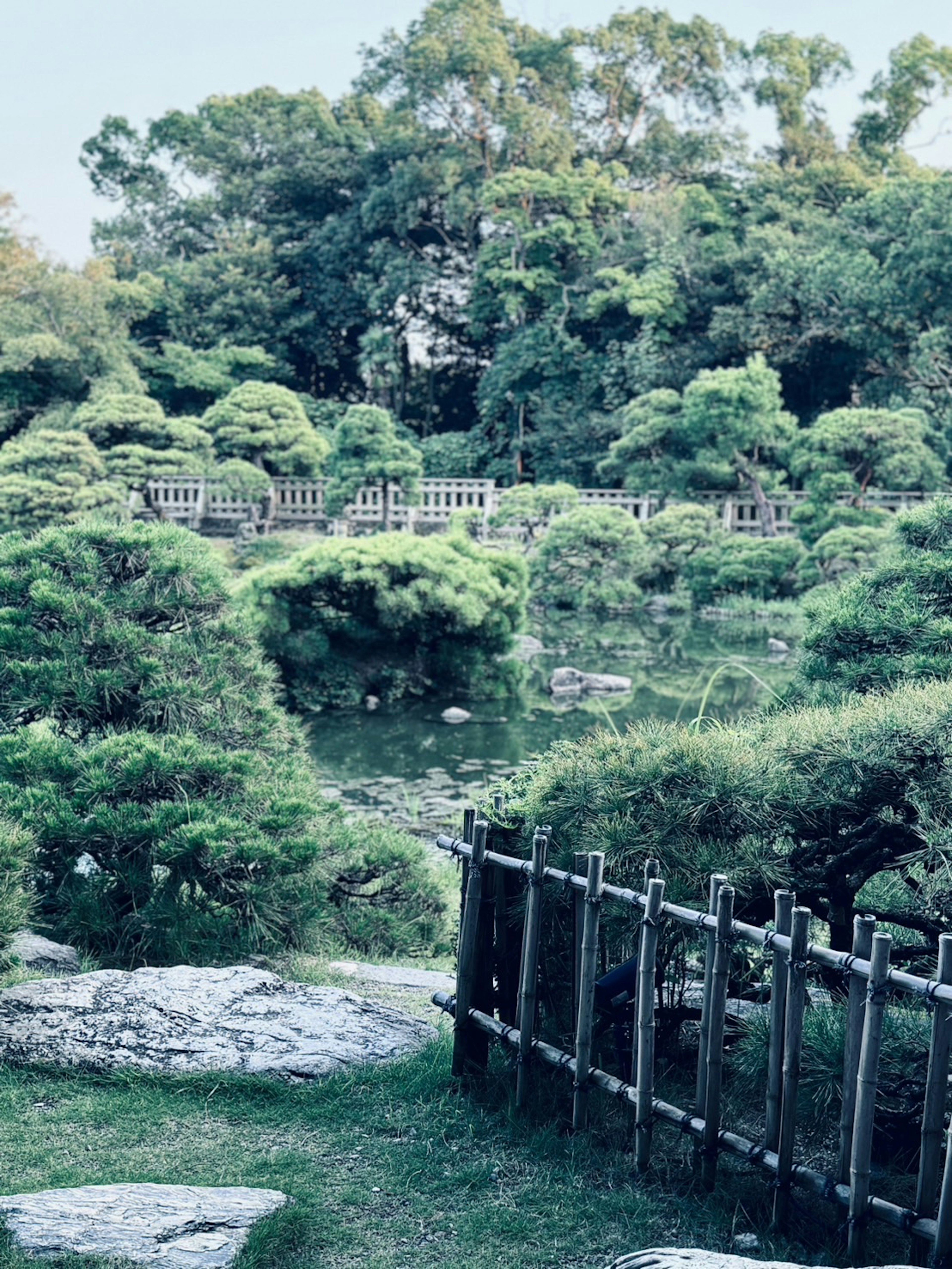 Pemandangan taman Jepang yang tenang vegetasi subur dan jalur batu