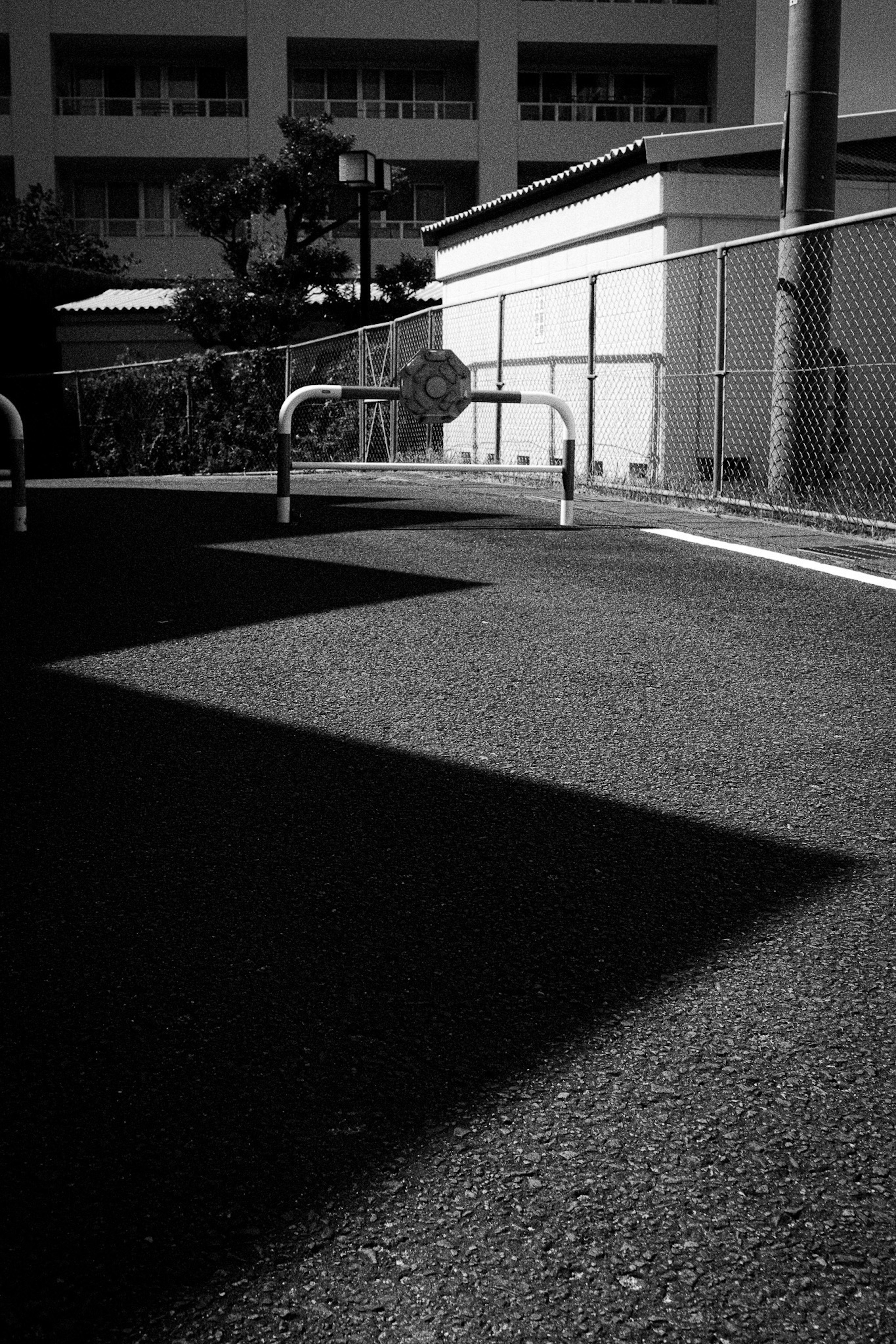 Scène en noir et blanc avec des ombres et une route pavée