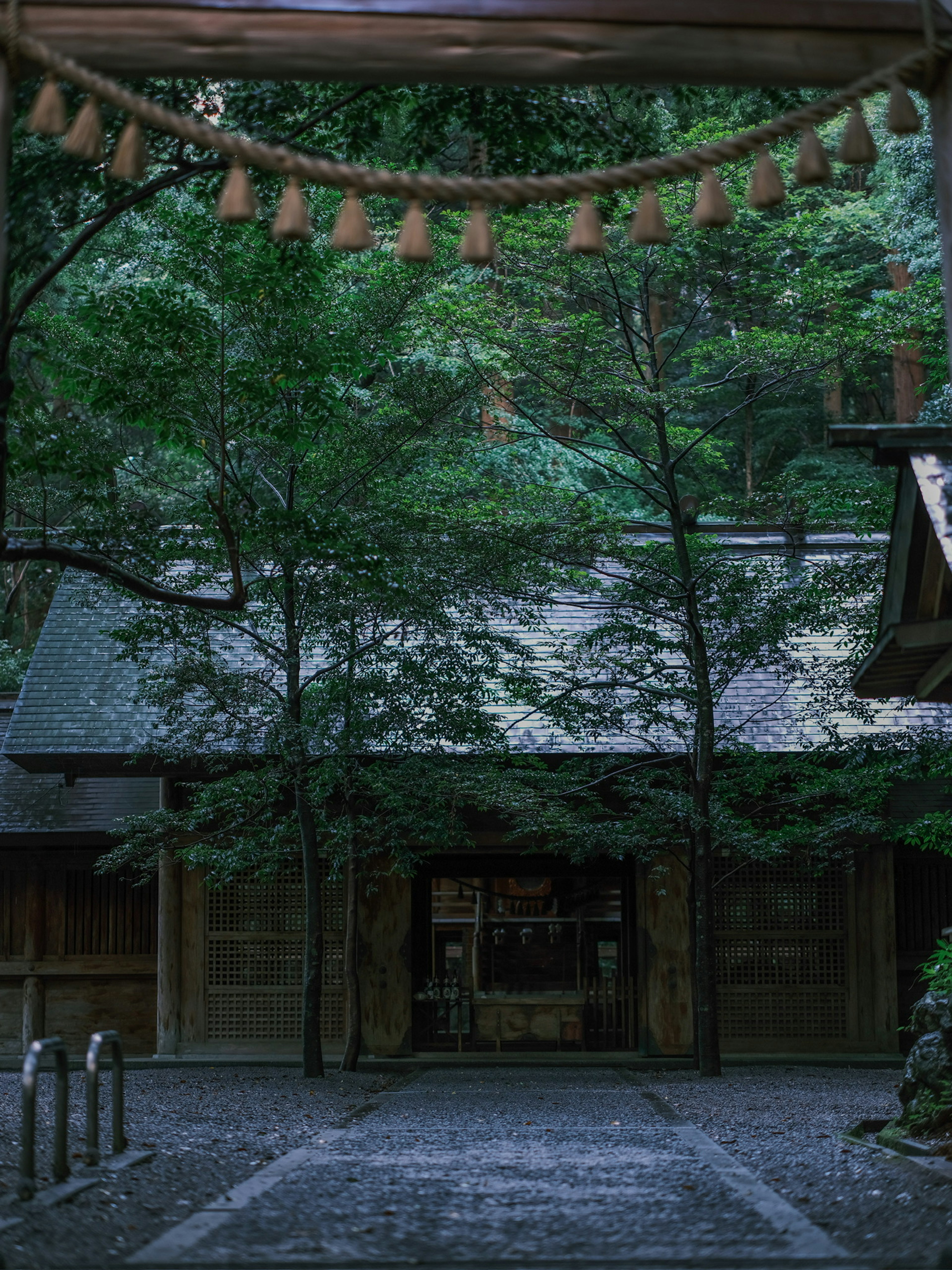 Traditional Japanese shrine building surrounded by lush green trees in a serene forest
