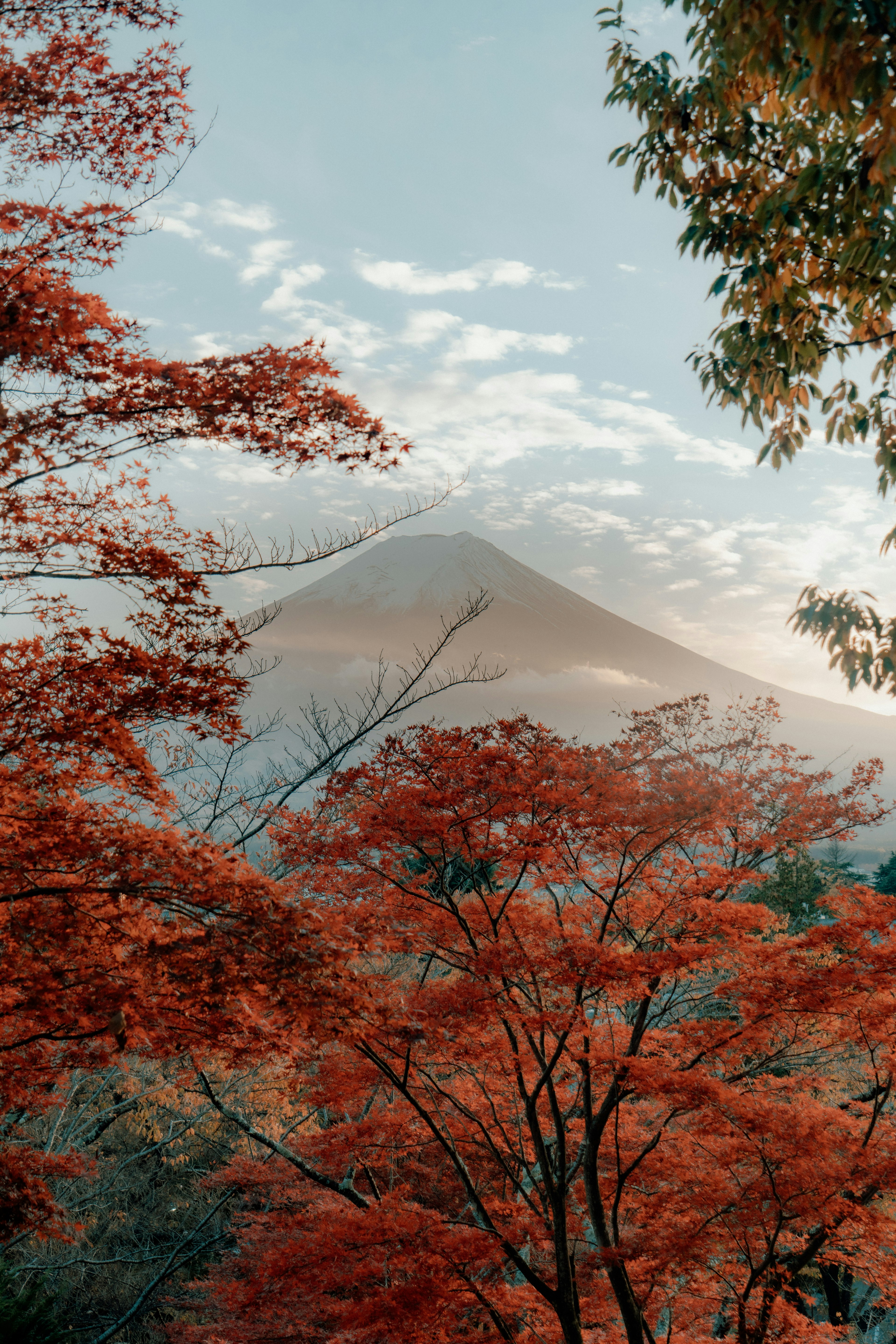 美しい紅葉に囲まれた富士山の景色