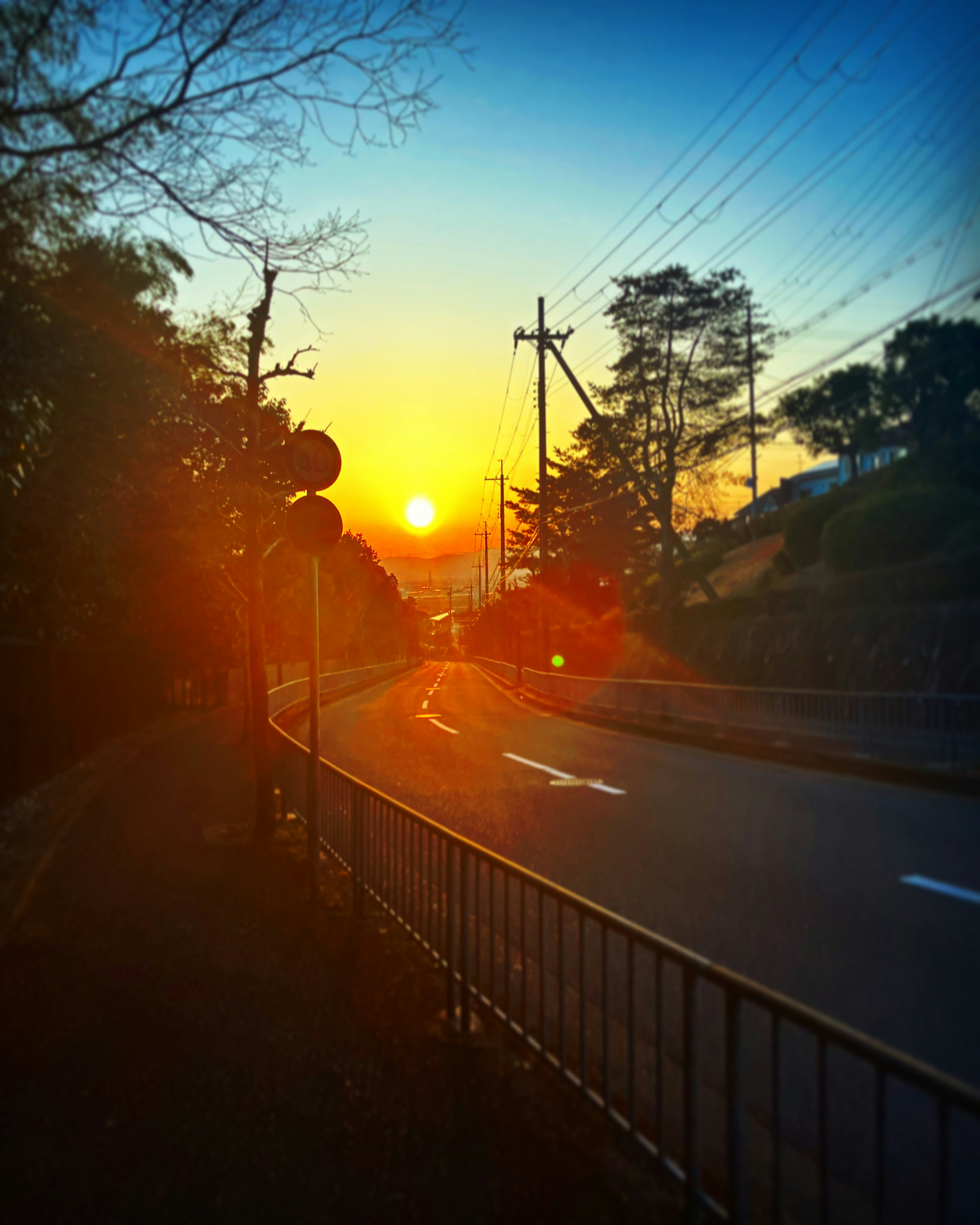 Pemandangan matahari terbenam di sepanjang jalan dengan pepohonan dan tiang utilitas