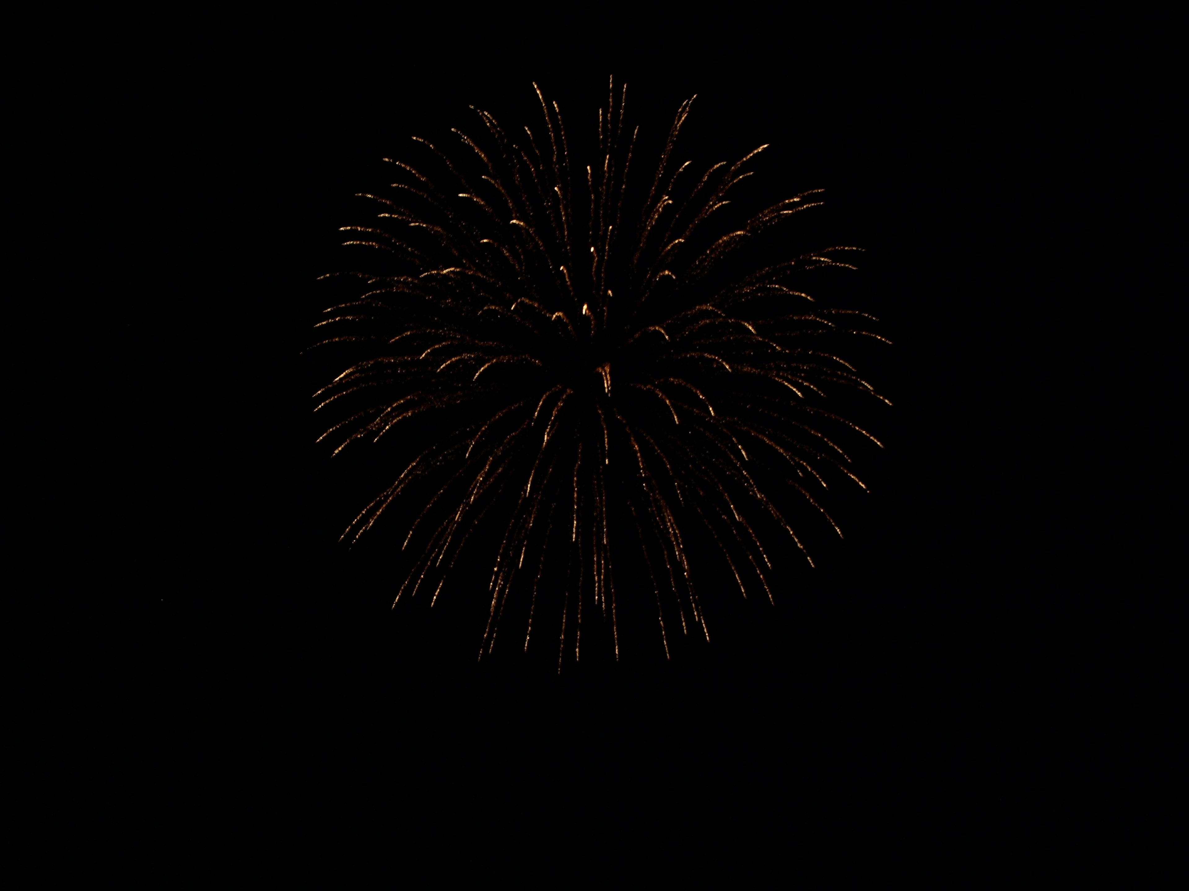 Fireworks explosion against a black background