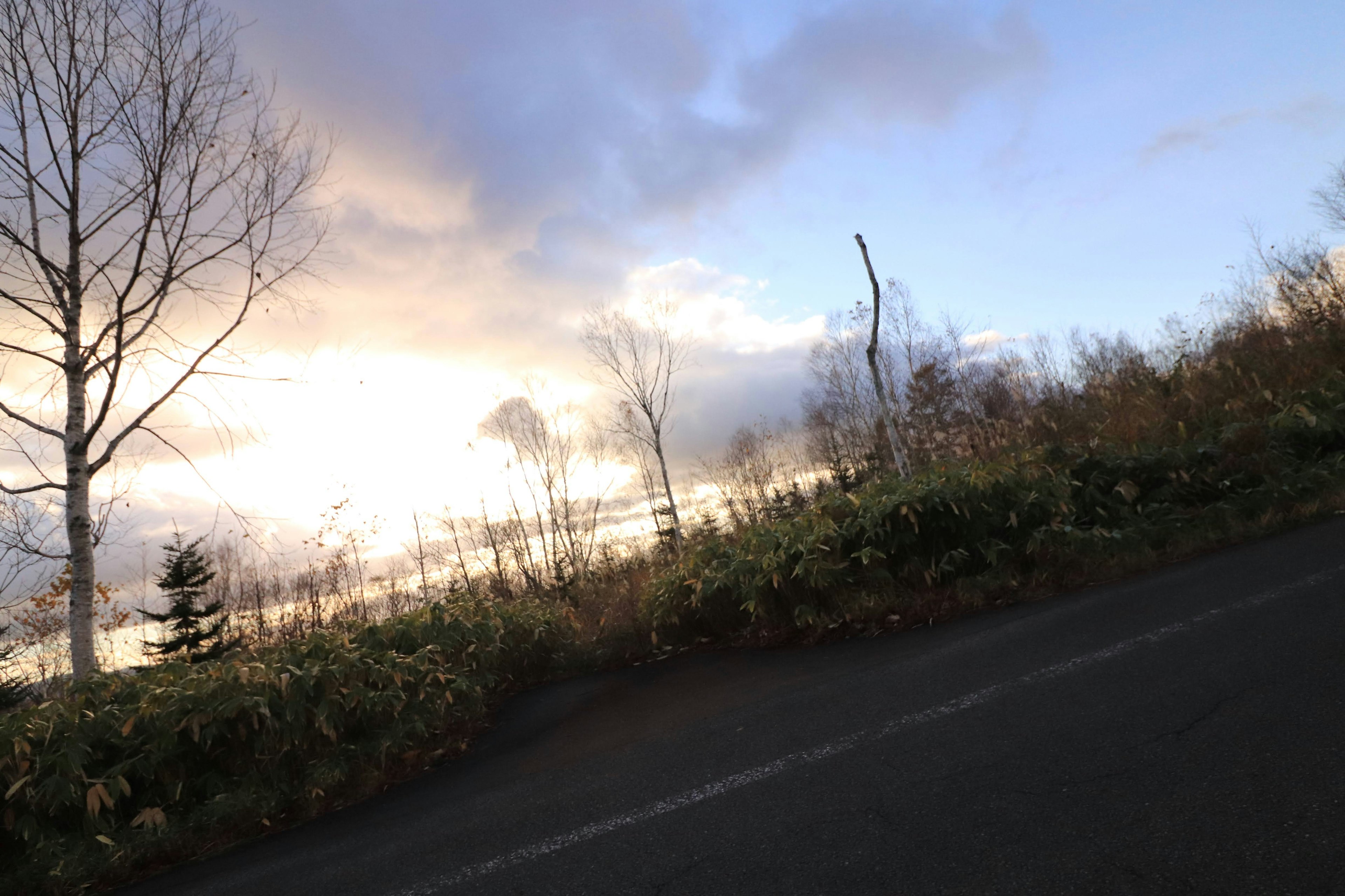 Landschaftsansicht einer Straße mit Bäumen und einem Sonnenuntergangshimmel