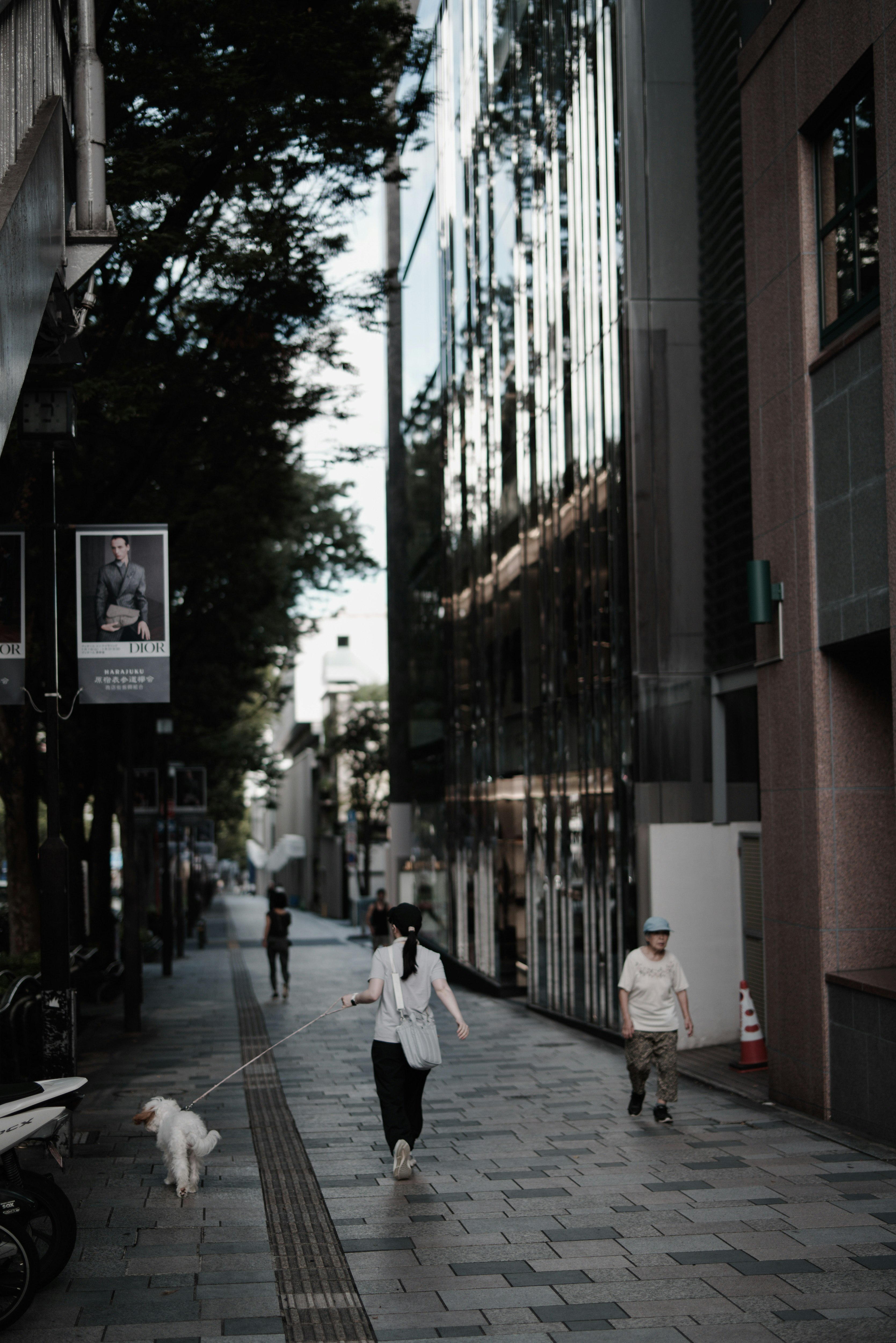 ทิวทัศน์ในเมืองที่มีคนเดินและสุนัขบนถนนที่เงียบสงบ