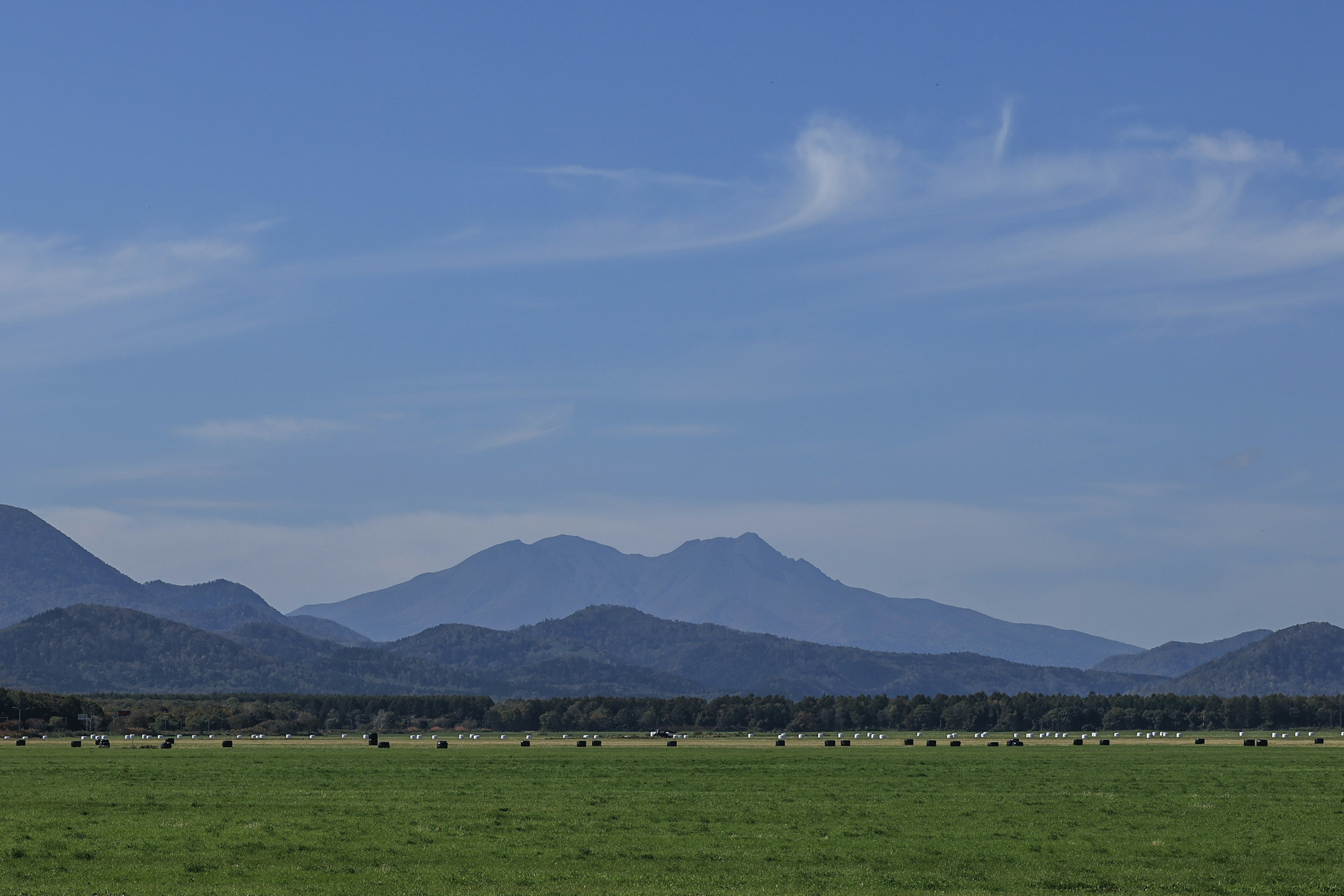 Prateria verde sotto un cielo blu con montagne lontane