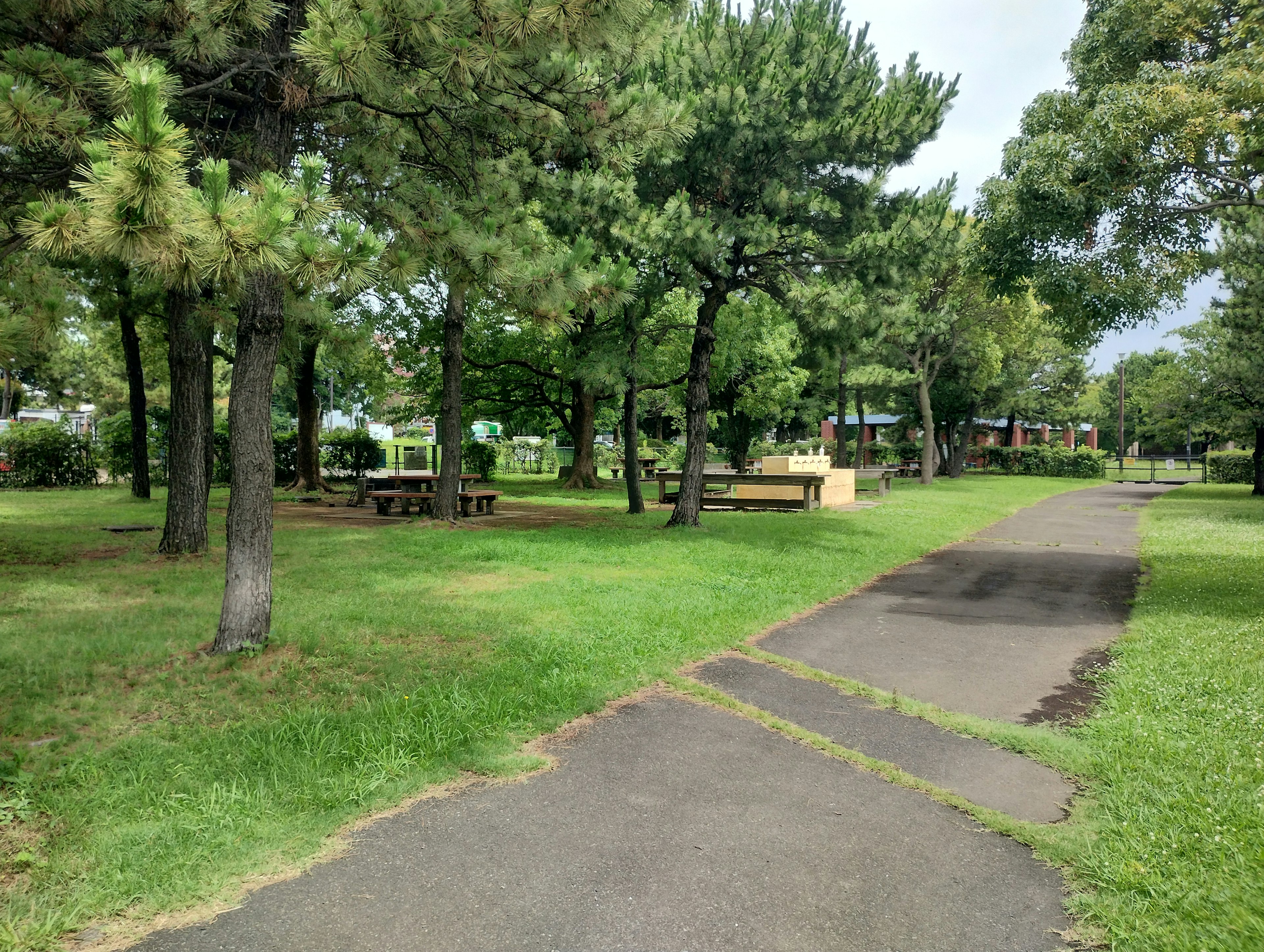 Sentiero in un parco verdeggiante con alberi e tavoli da picnic