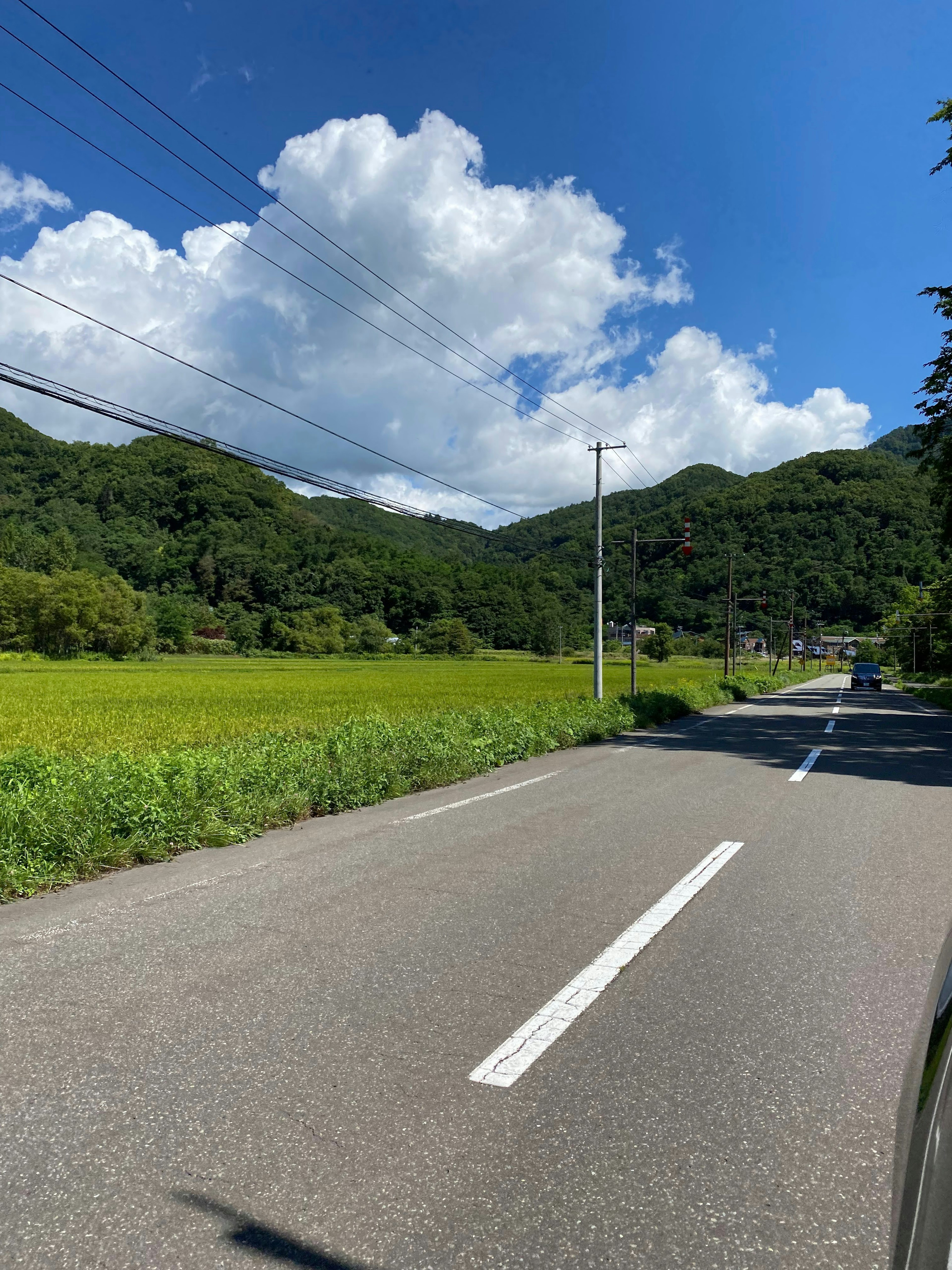 青空と白い雲が広がる田舎の風景 緑の田んぼと山々が背景にある道路