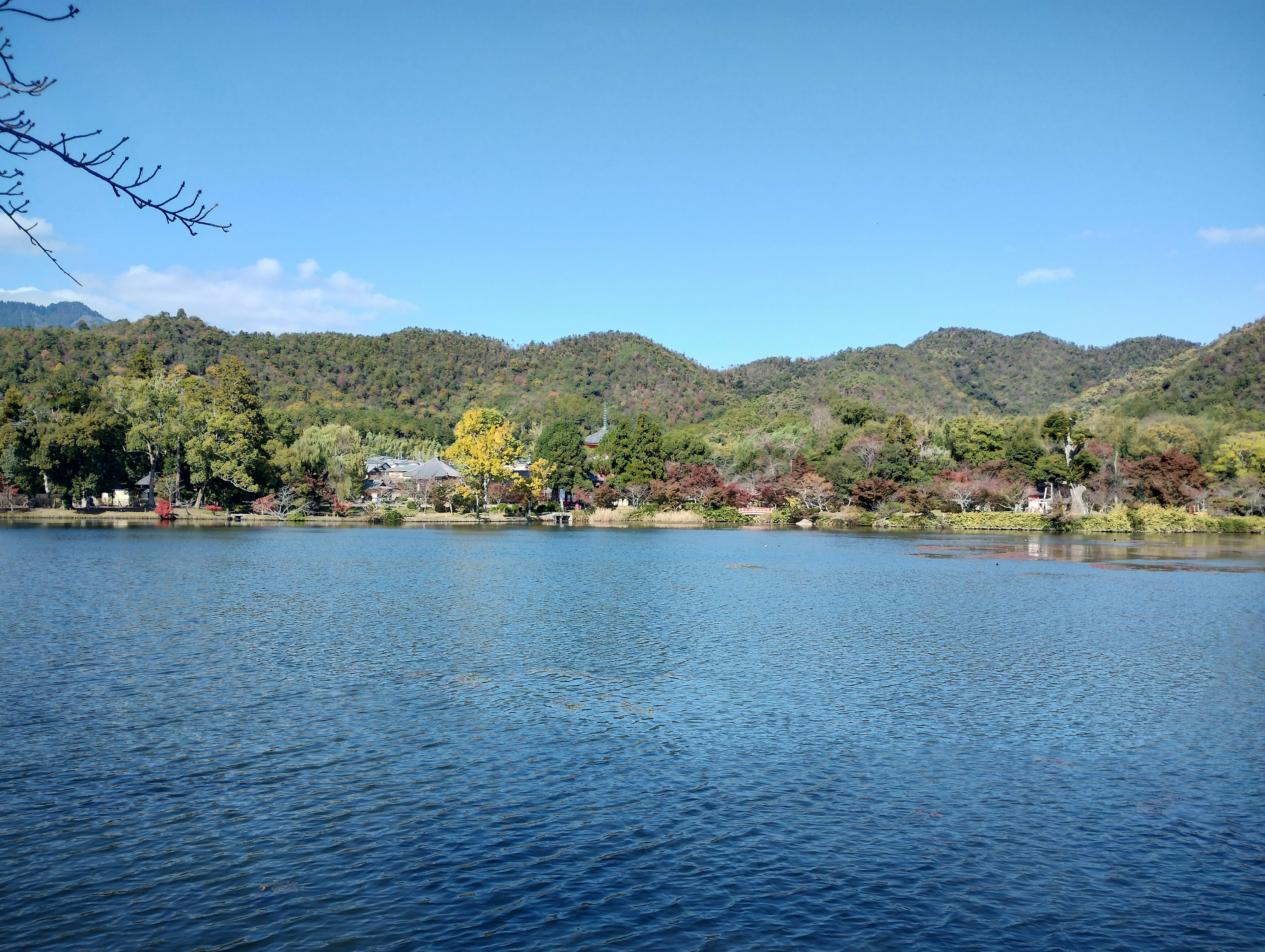 Danau tenang dengan pegunungan hijau subur di latar belakang