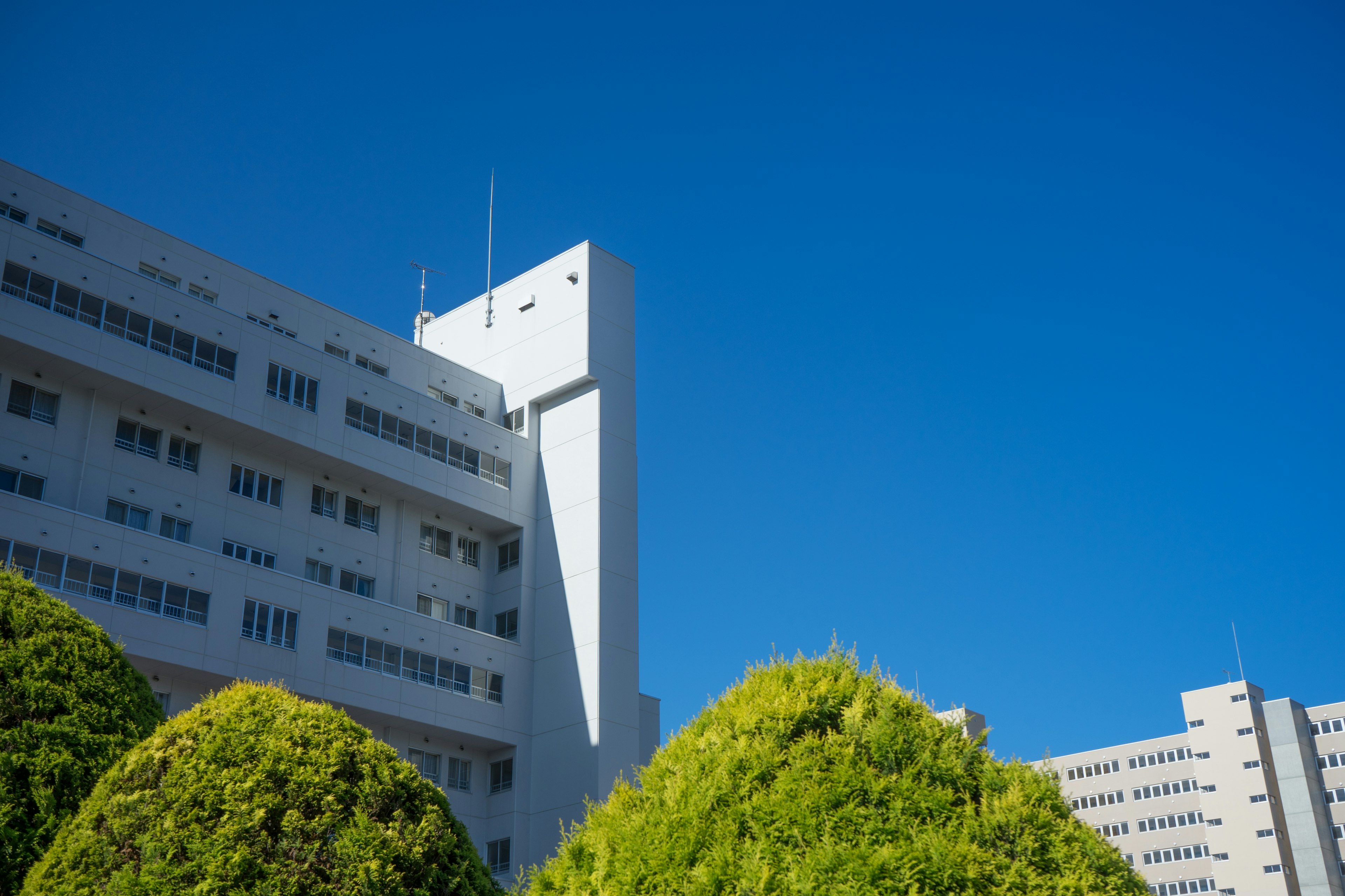 青空の下にある現代的な建物と緑の植栽