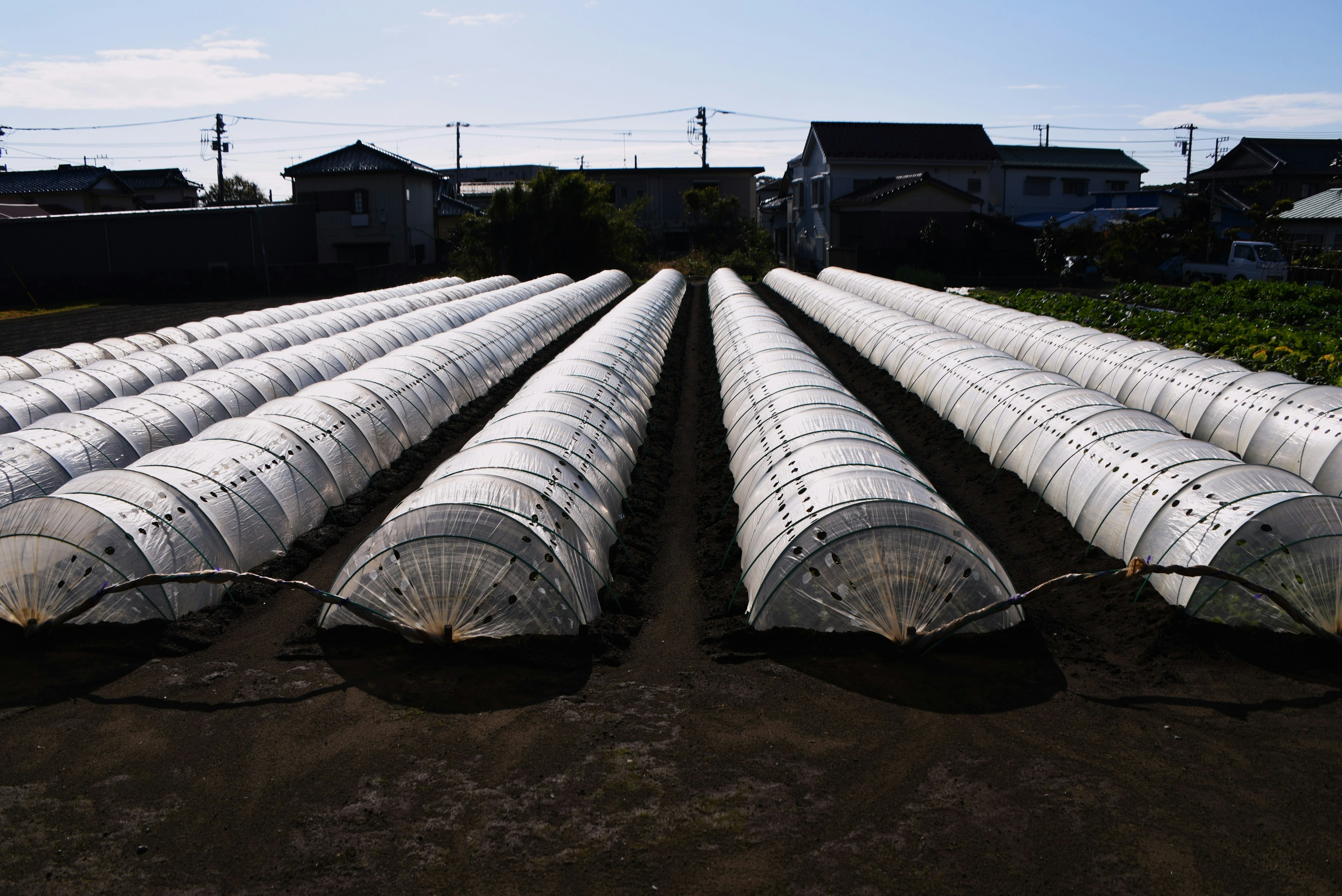 Rangs de serres en plastique sur une ferme sous un ciel bleu clair