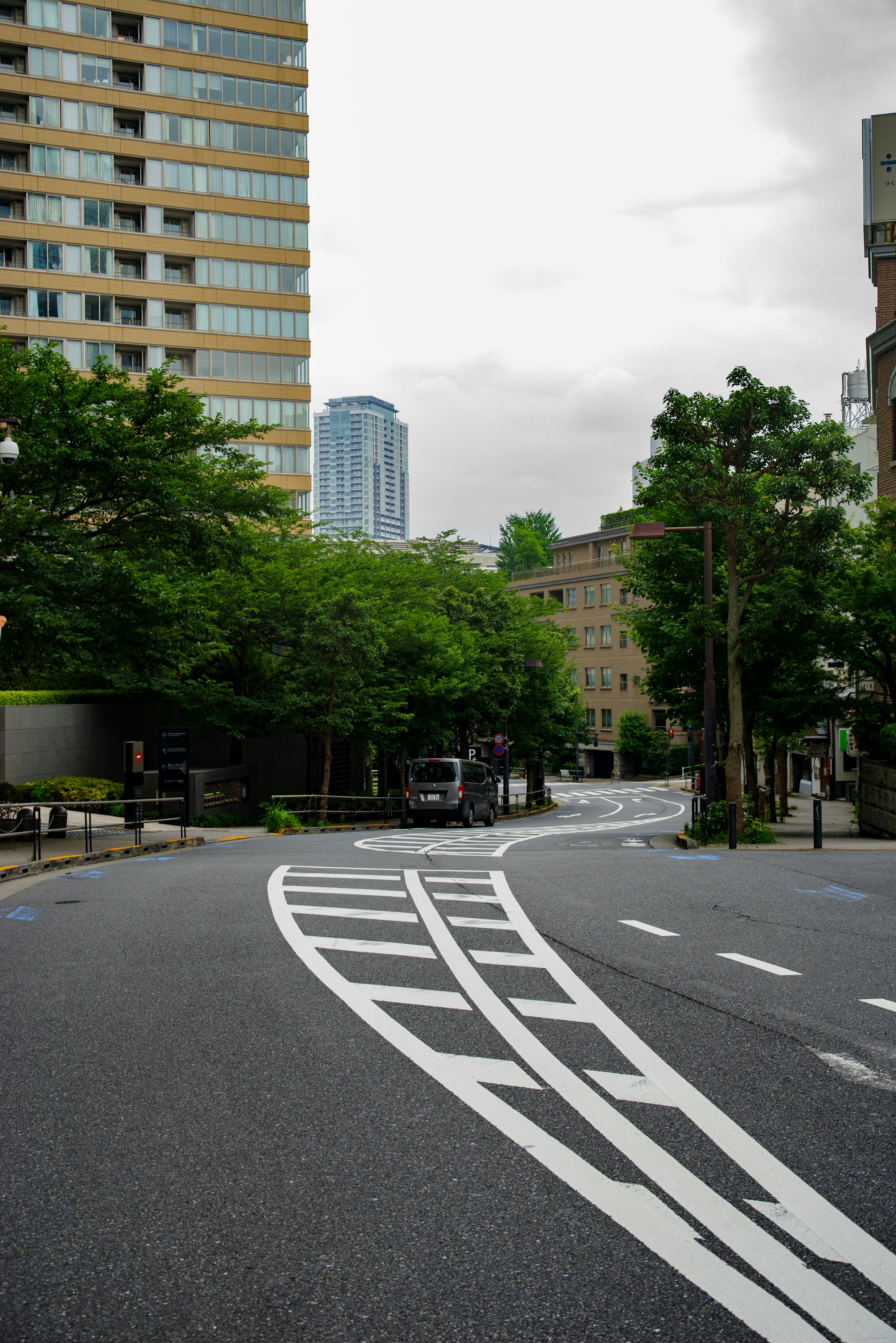 Rue courbée dans une zone urbaine entourée d'arbres verts