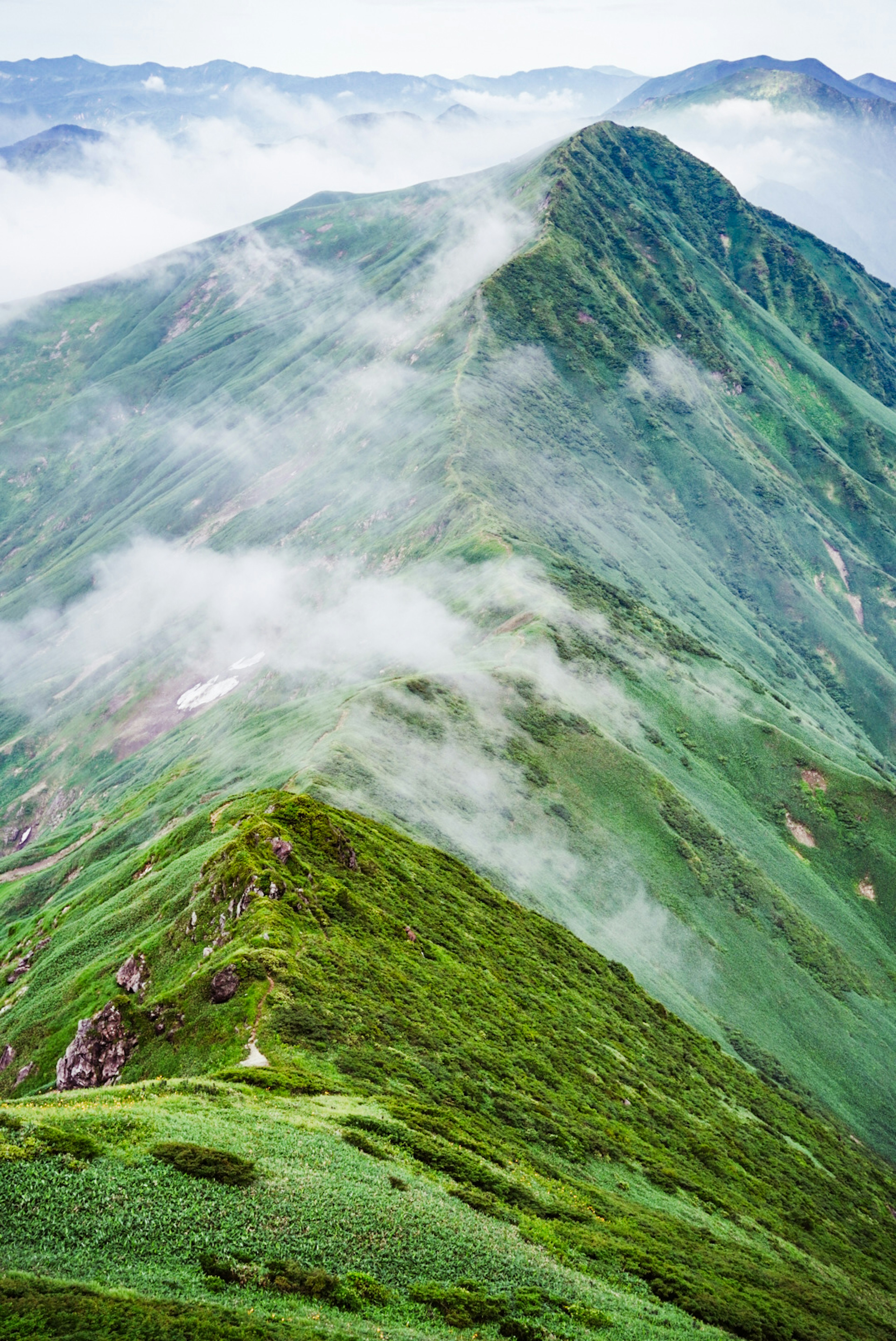 Üppige grüne Berglandschaft in Nebel gehüllt