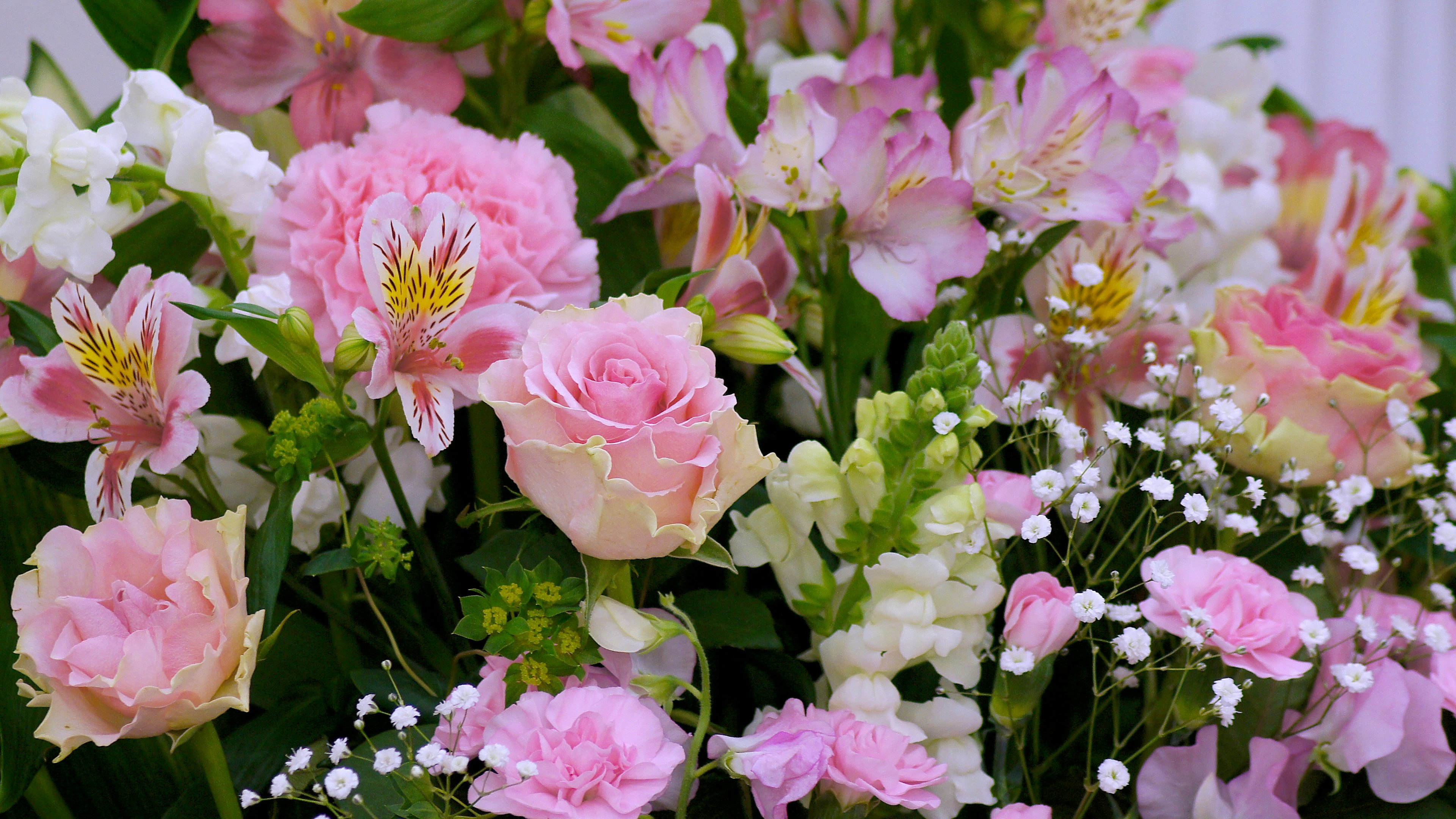 Un hermoso arreglo de rosas rosas y flores blancas