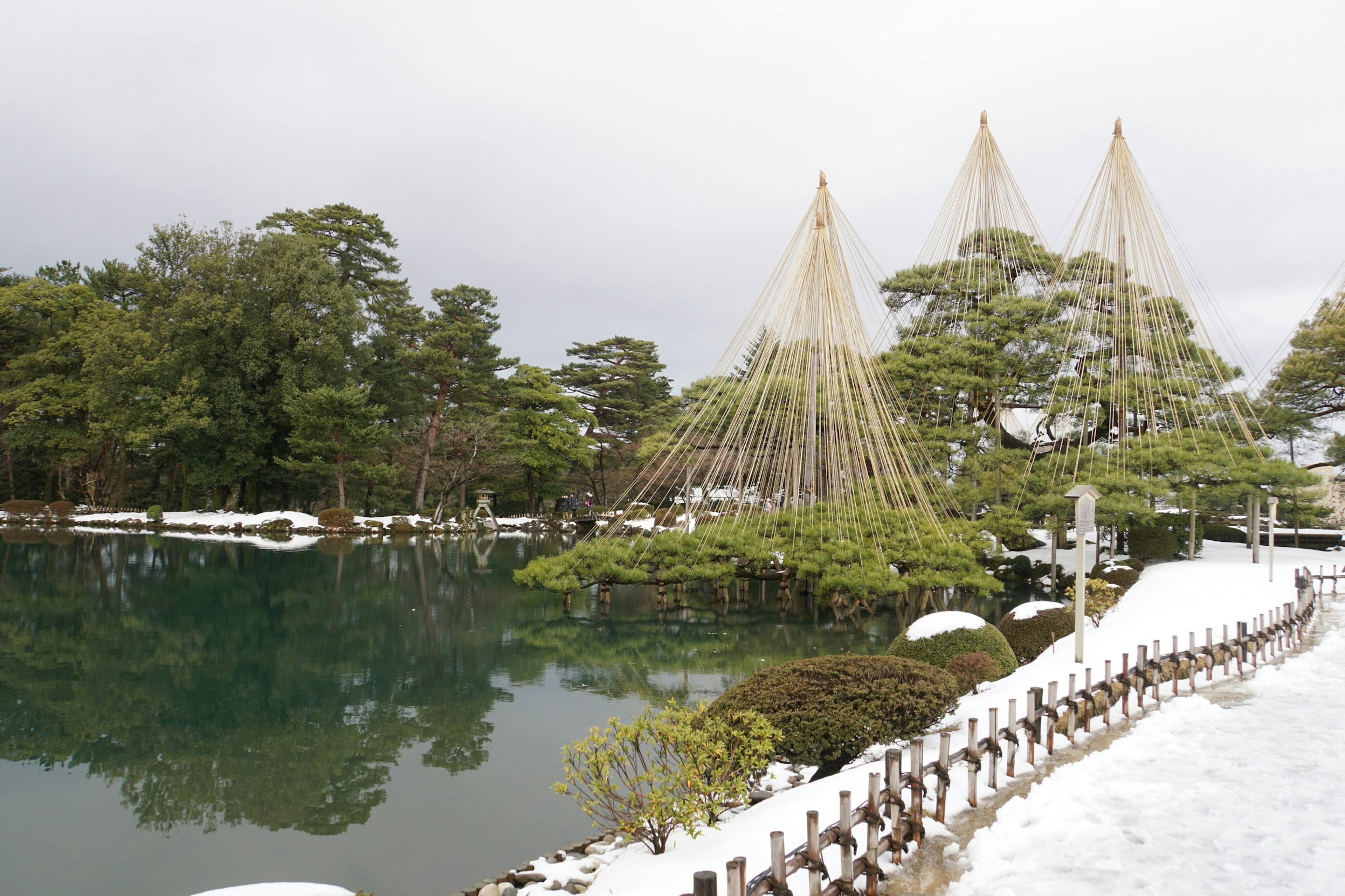 Jardín cubierto de nieve con un estanque y pinos con protección de nieve