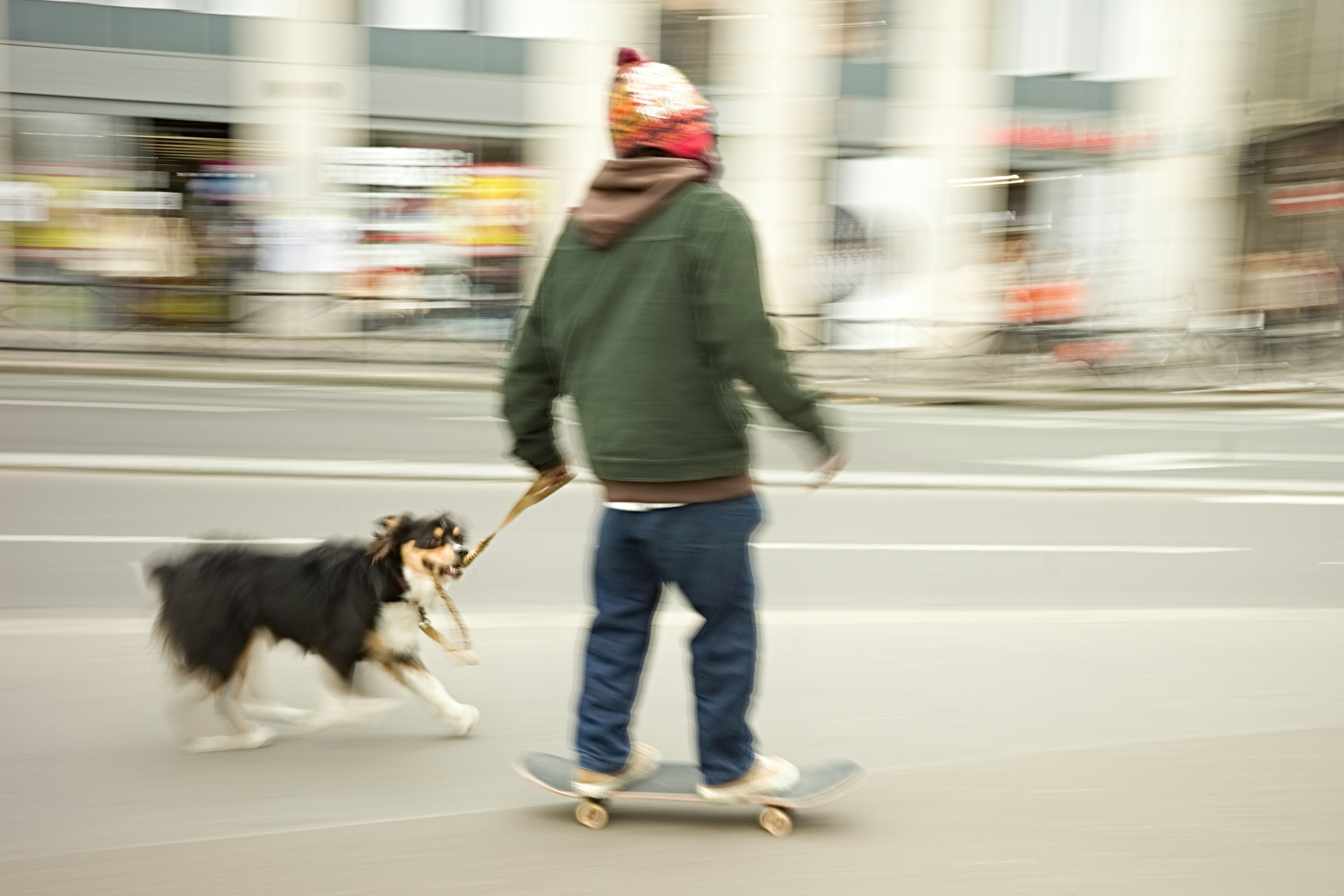 スケートボードに乗る男性とその犬が街を走る様子