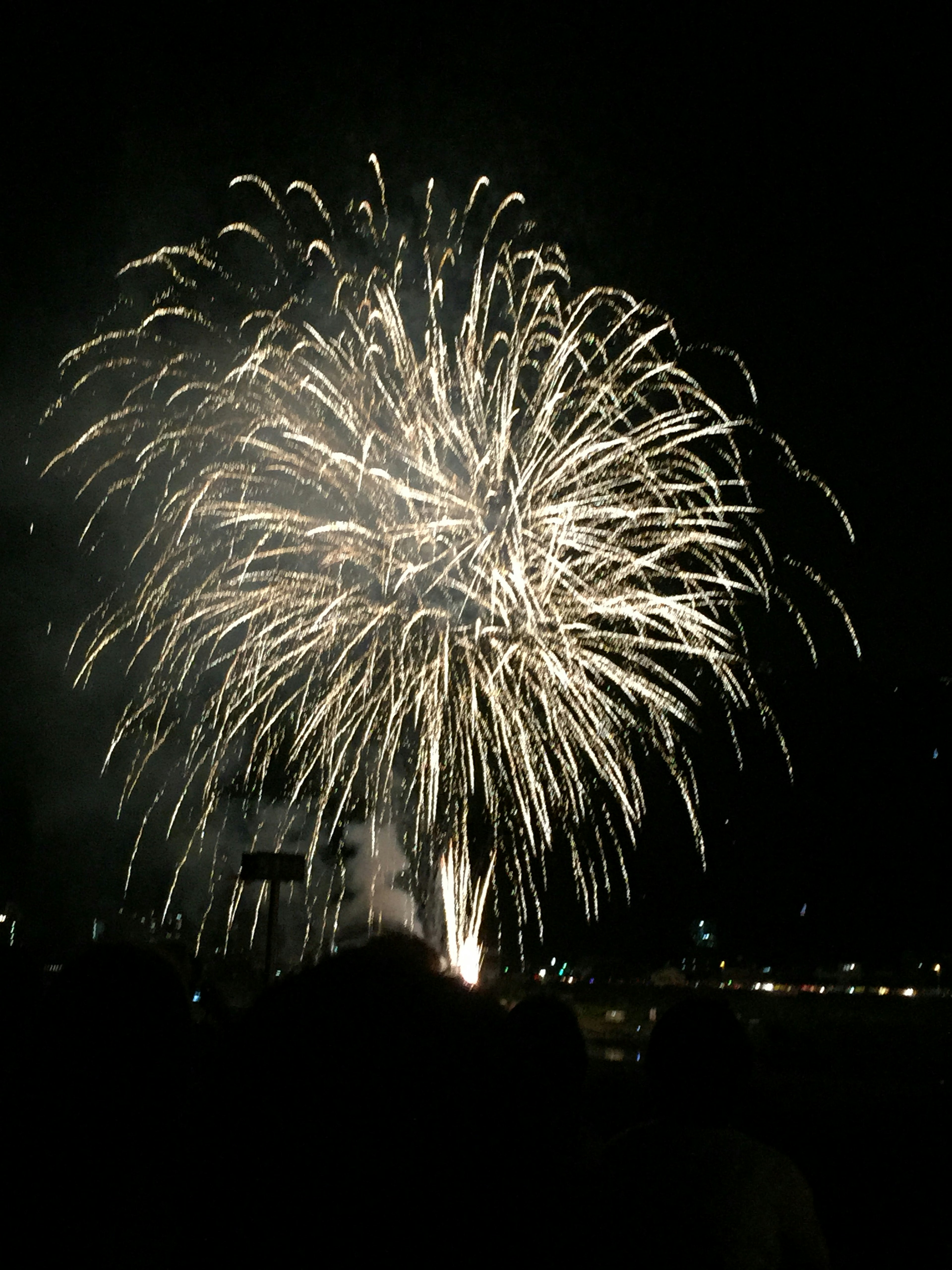 Fuochi d'artificio bianchi brillanti che esplodono nel cielo notturno