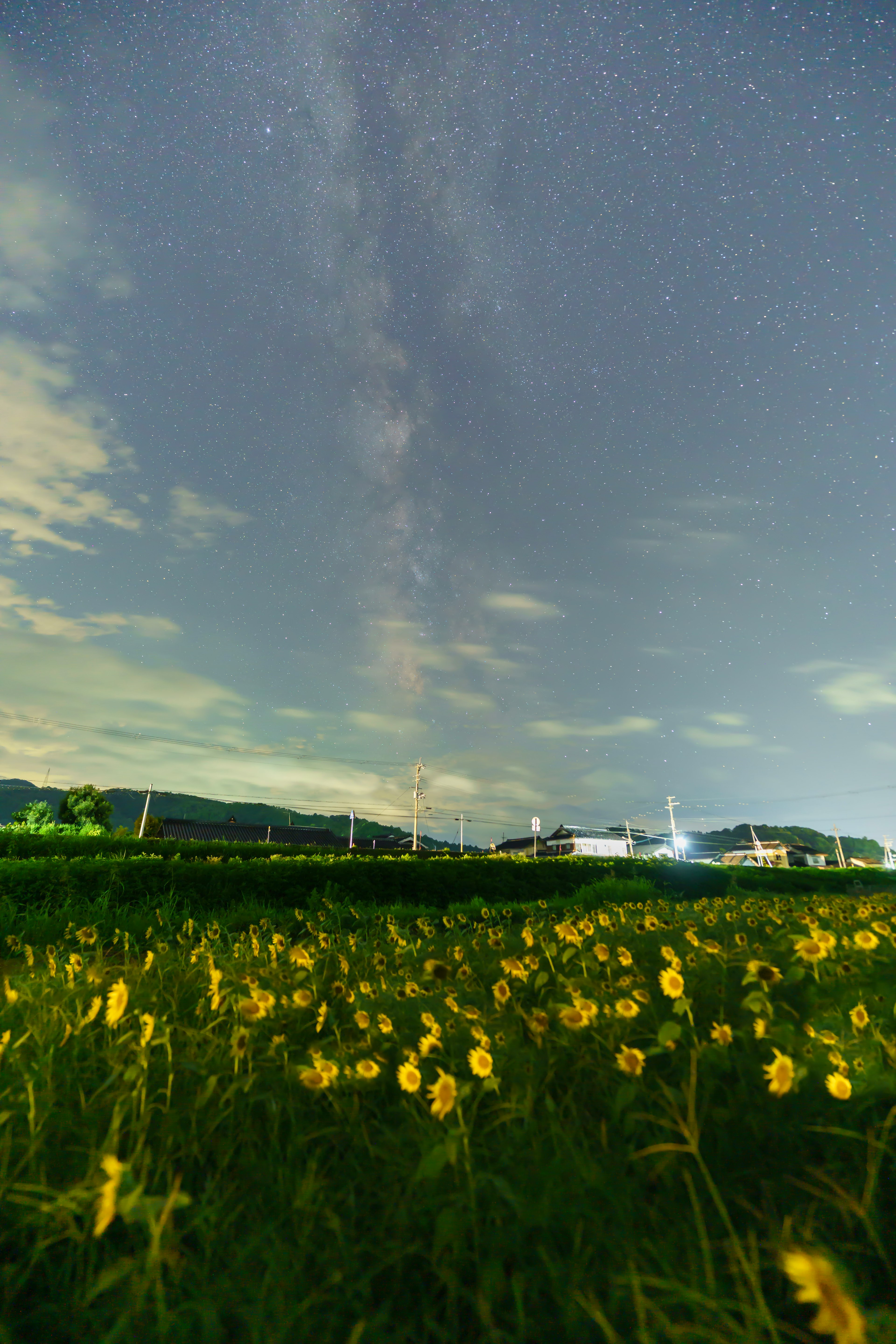 Cielo nocturno lleno de estrellas sobre un prado de flores amarillas